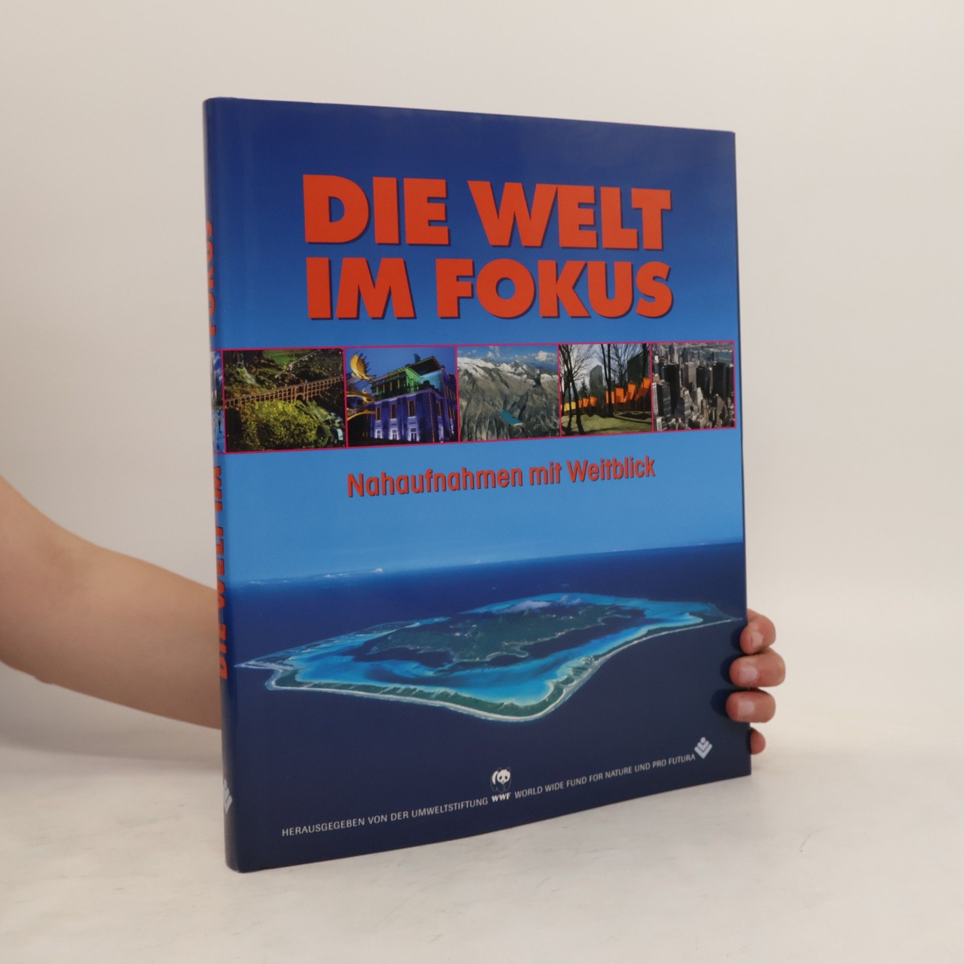 Collectif d'auteurs Die Welt im Fokus