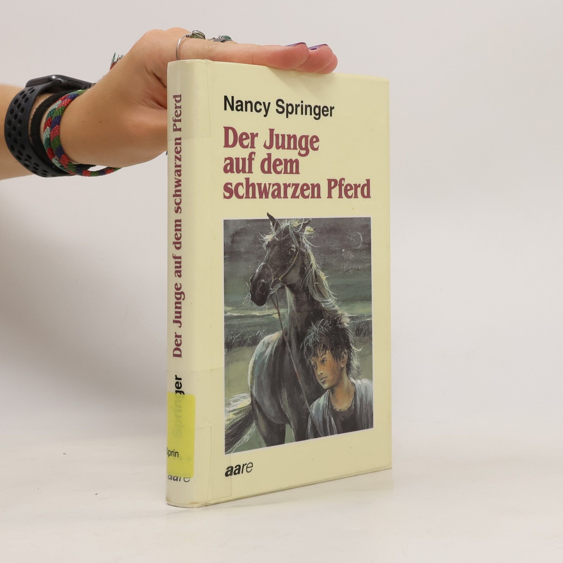 Nancy Springer Der Junge auf dem schwarzen Pferd