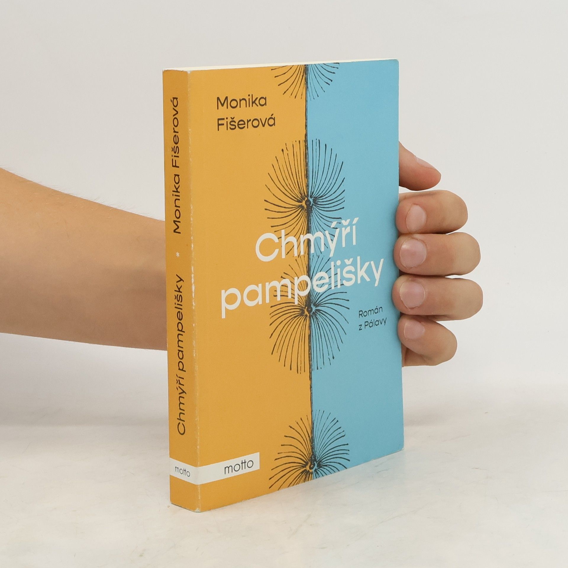 Monika Fišerová Chmýří pampelišky