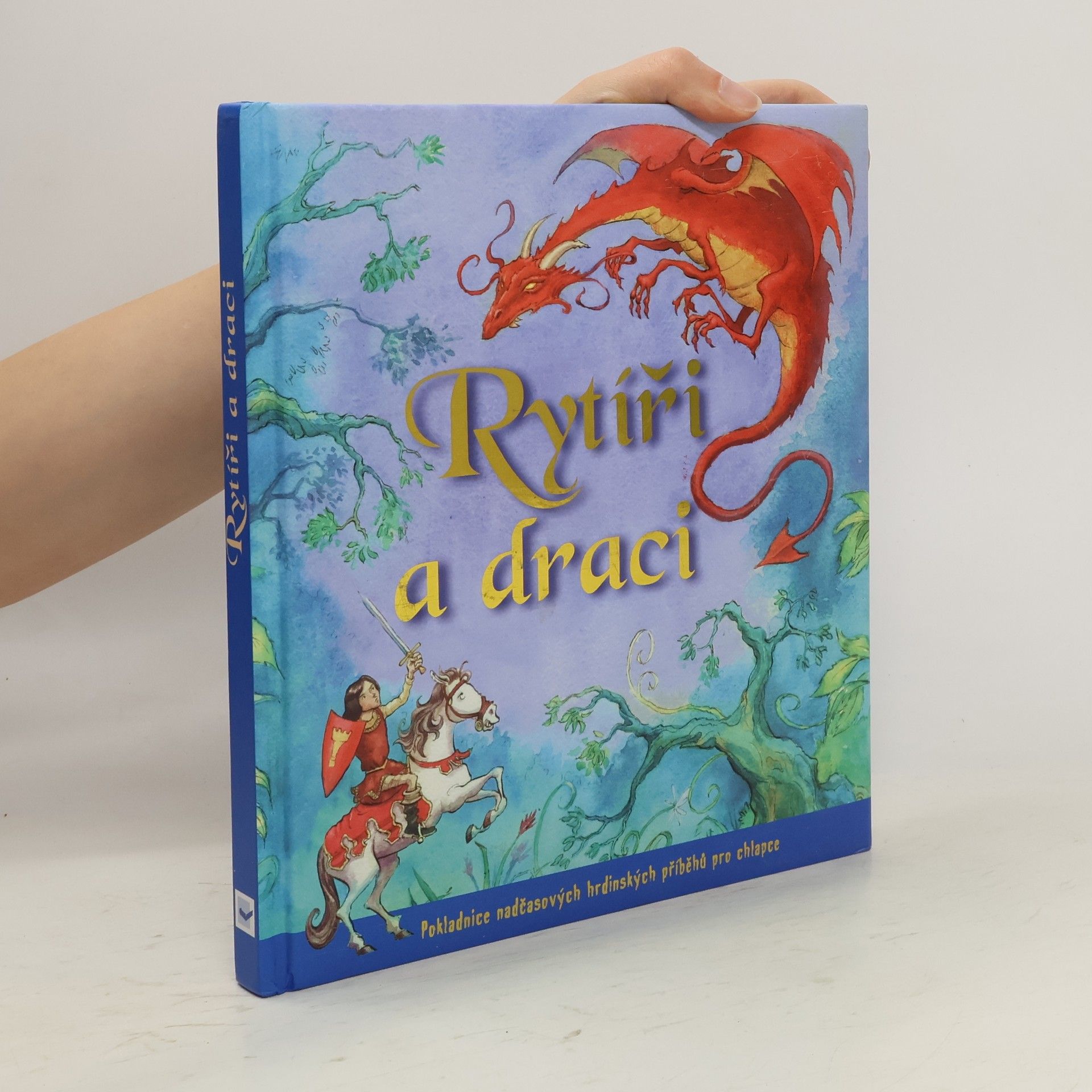 kolektiv Rytíři a draci