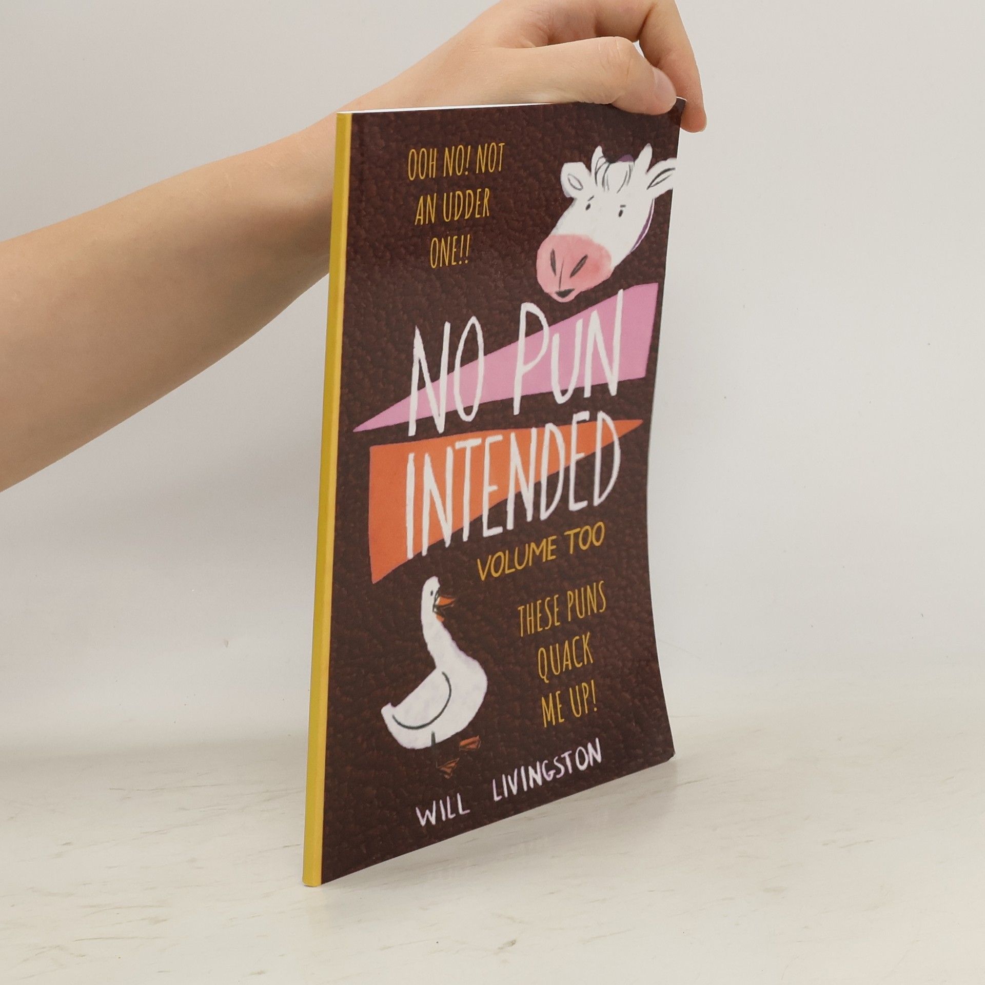 No Pun Intended