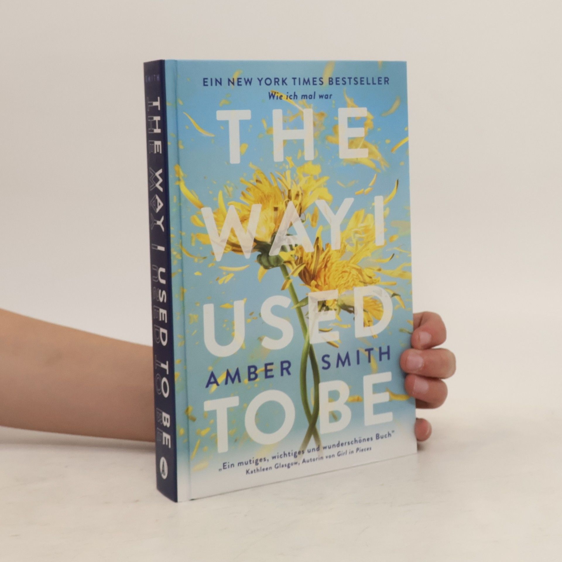 Amber Smith Wie ich mal war. The Way I Used to Be