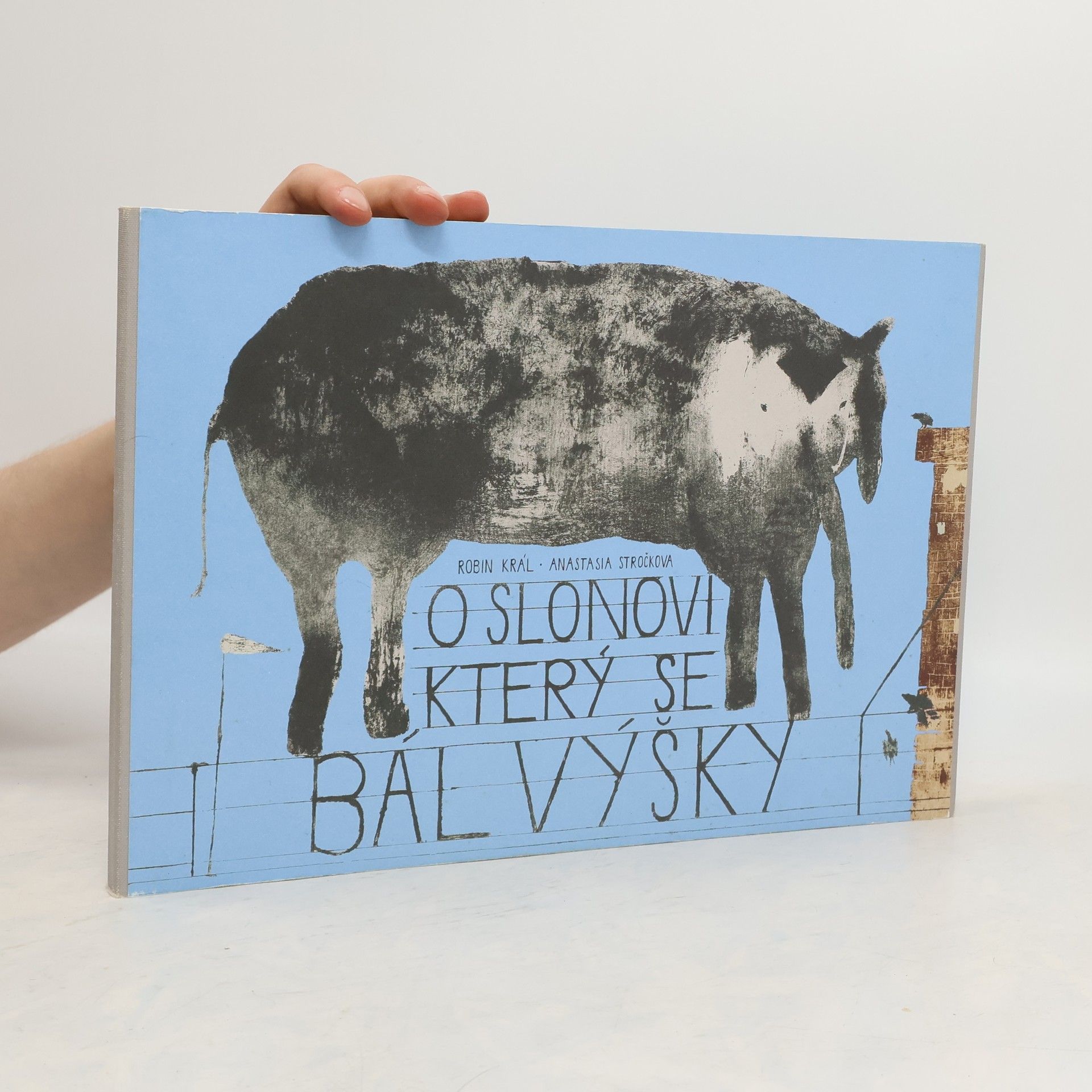 Robin Král O slonovi, který se bál výšky