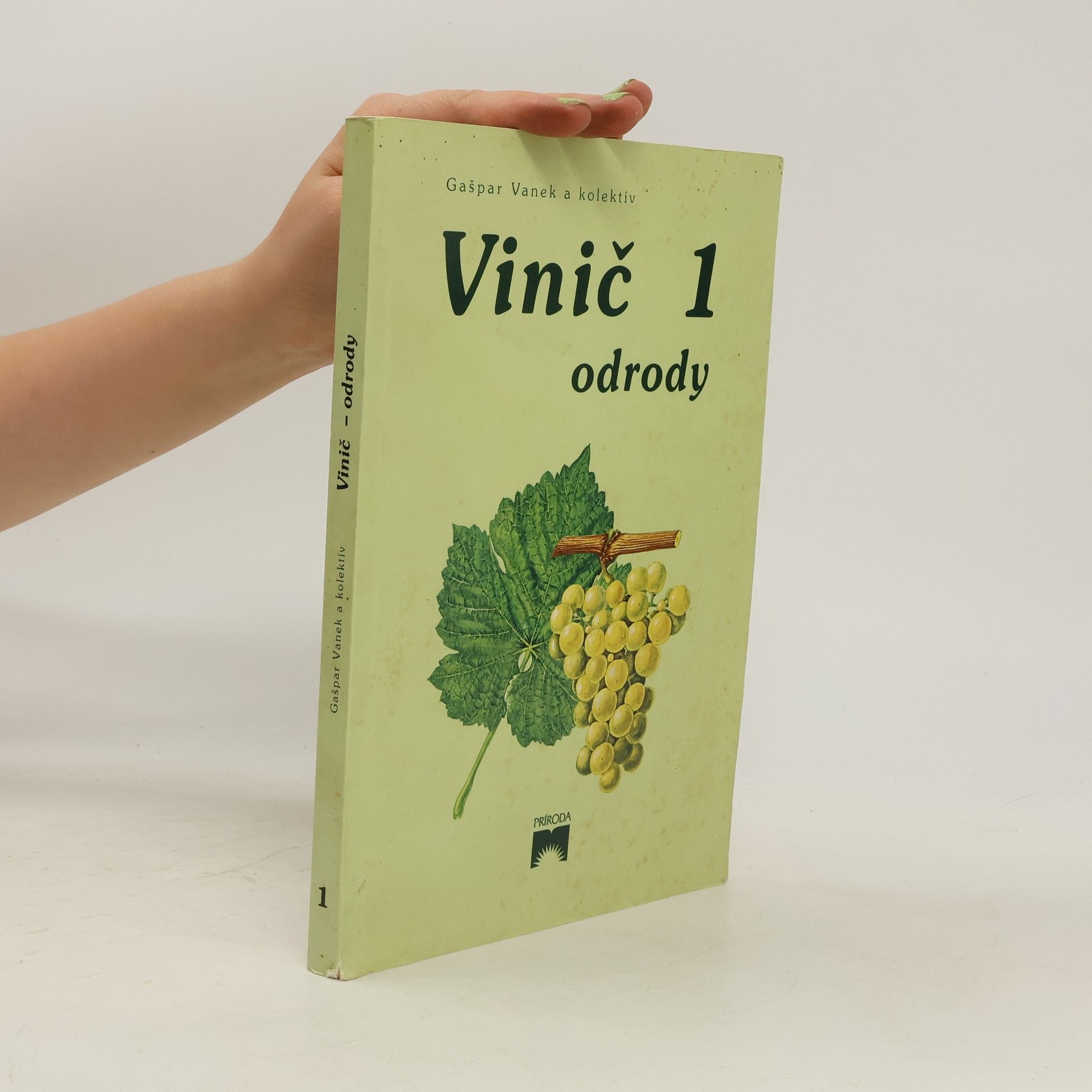 Gašpar Vanek Vinič 1. Odrody