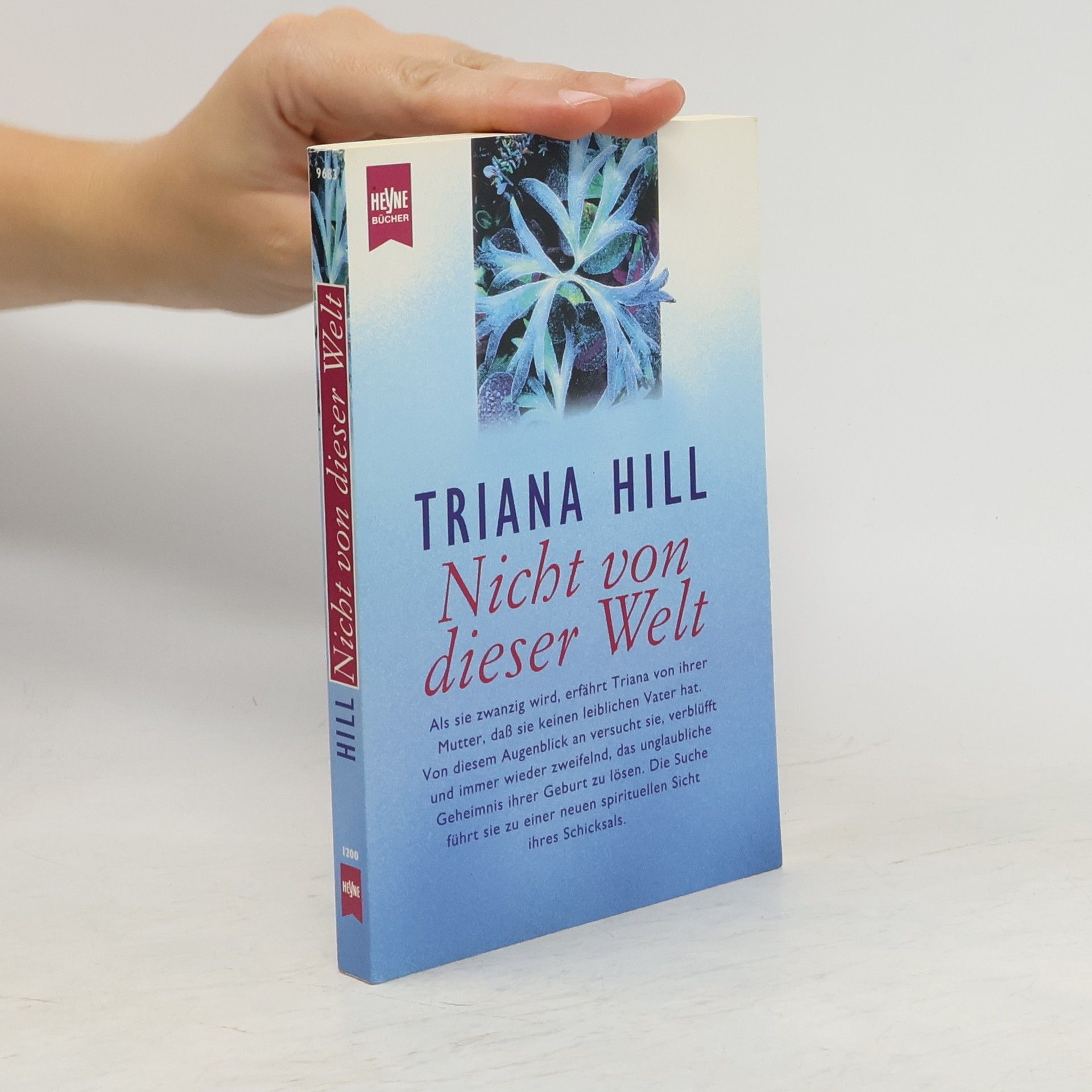 Triana Hill Nicht von dieser Welt