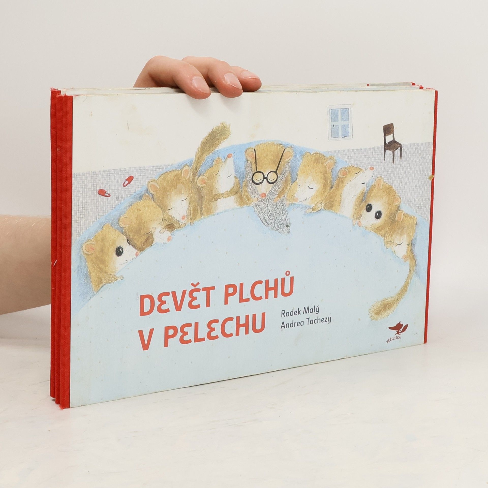 Radek Malý Devět plchů v pelechu