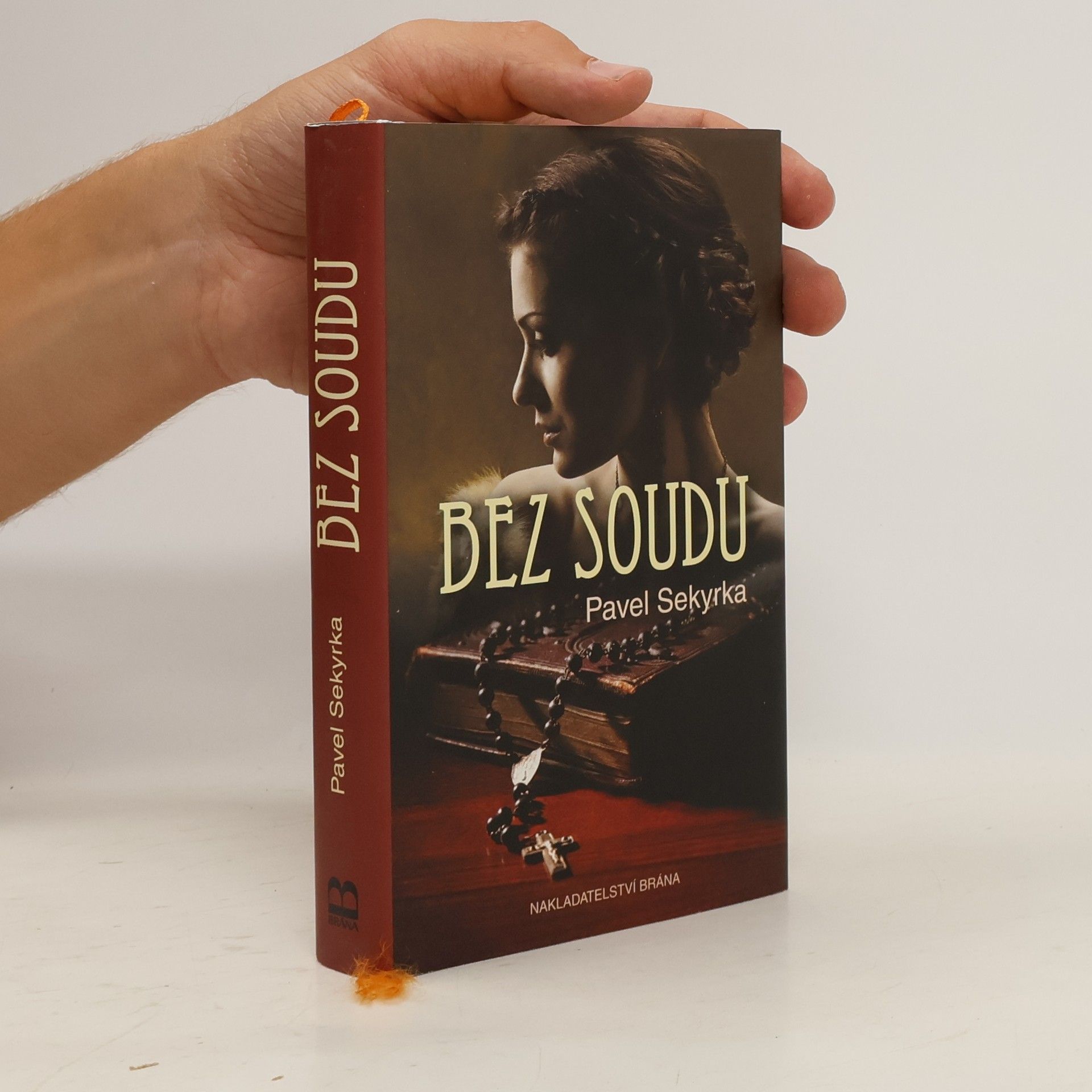 Pavel Sekyrka Bez soudu
