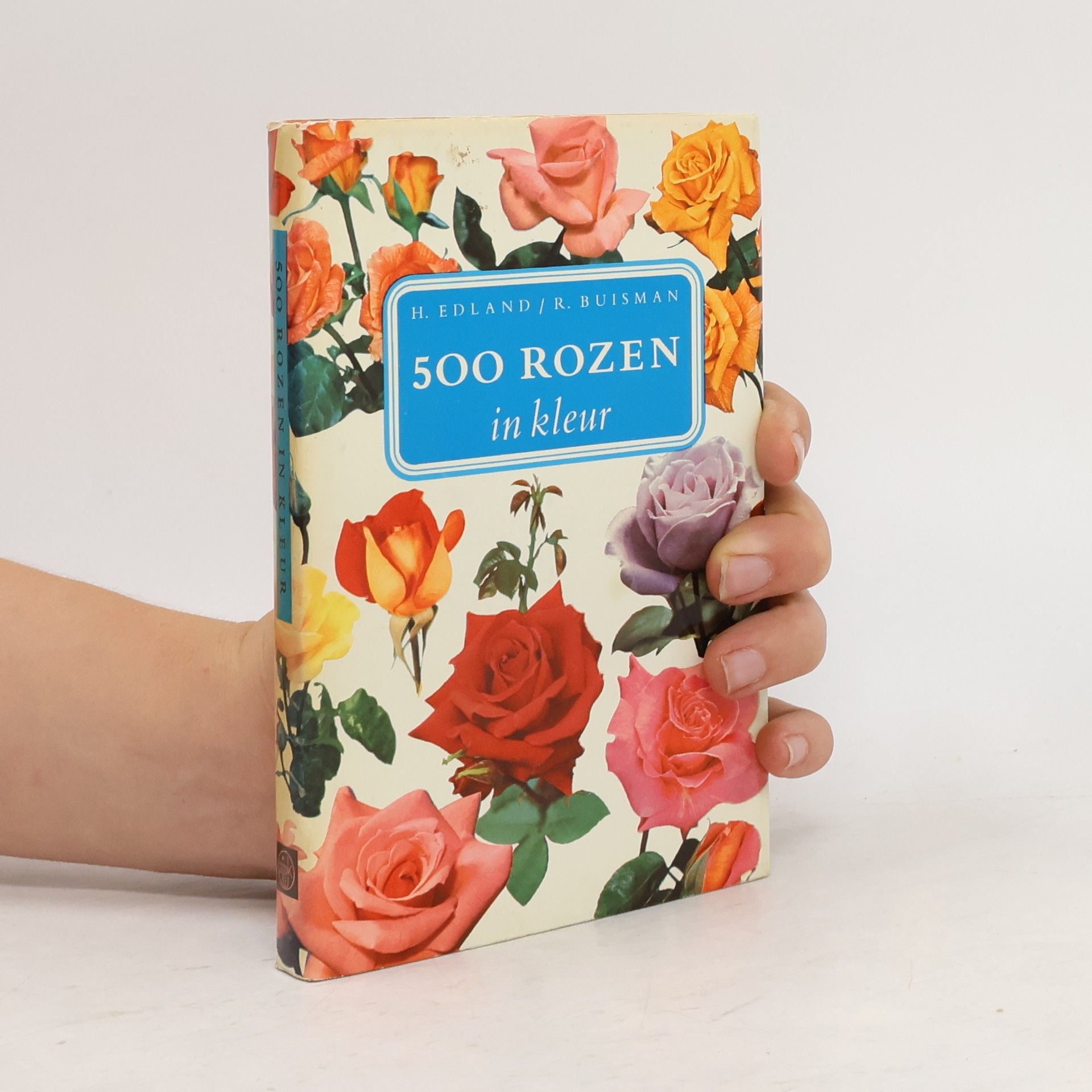H. Edland 500 Rozen in kleur