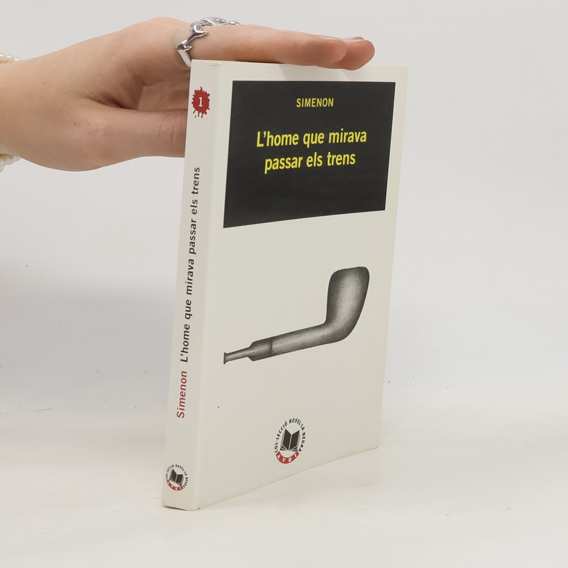 Georges Simenon L'home que mirava passar els trens