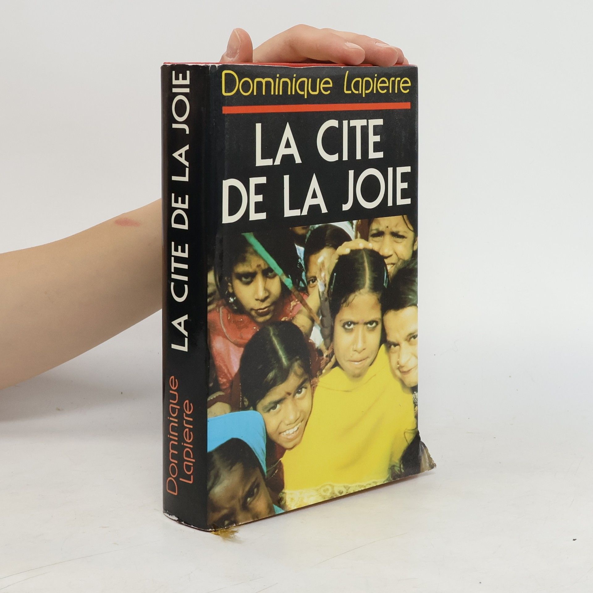 Dominique Lapierre La cité De La Joie