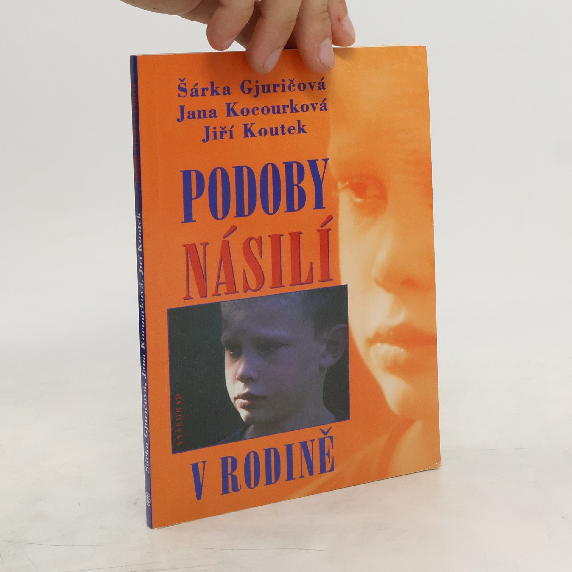 Šárka Gjuričová Podoby násilí v rodině