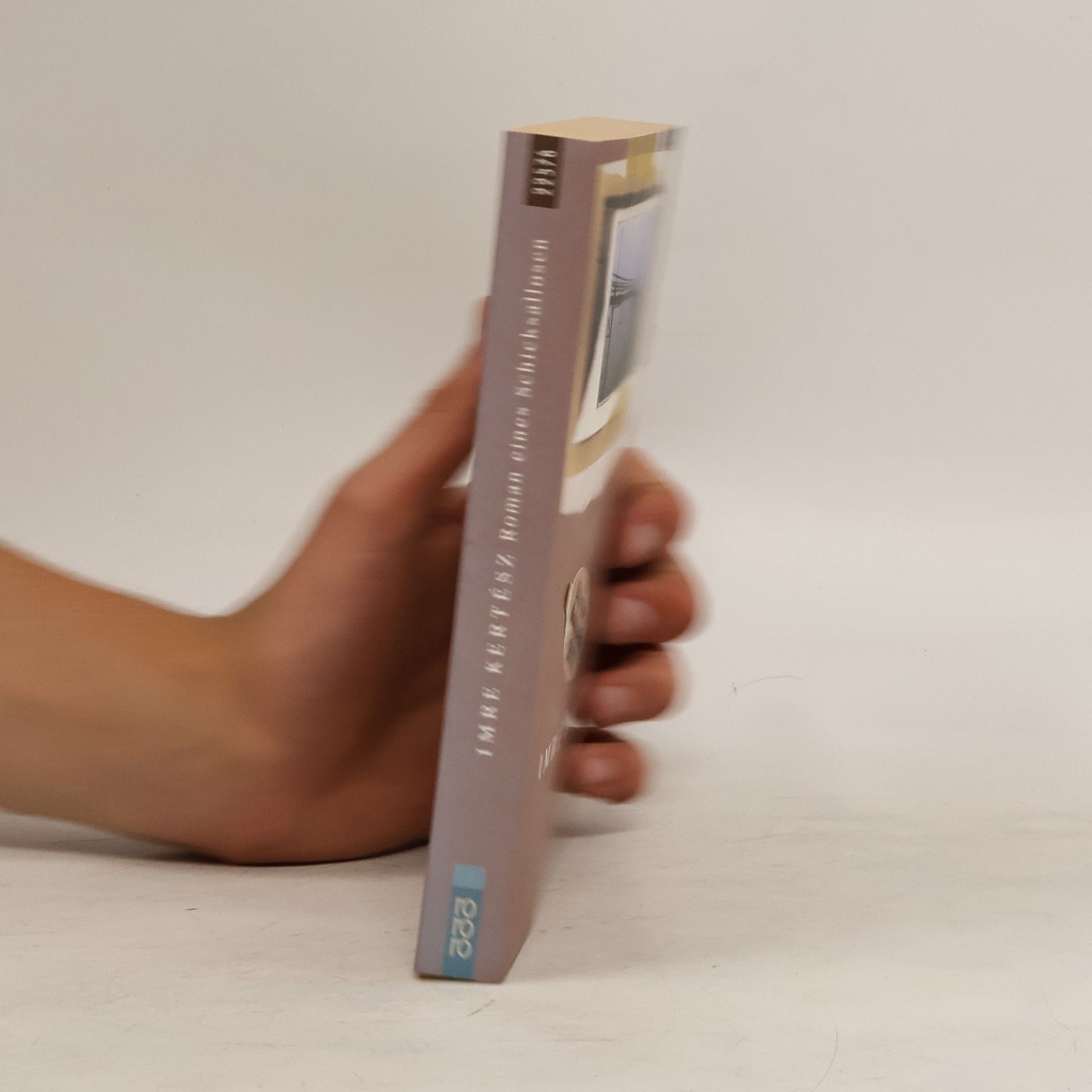 Imre Kertész Roman eines Schicksallosen