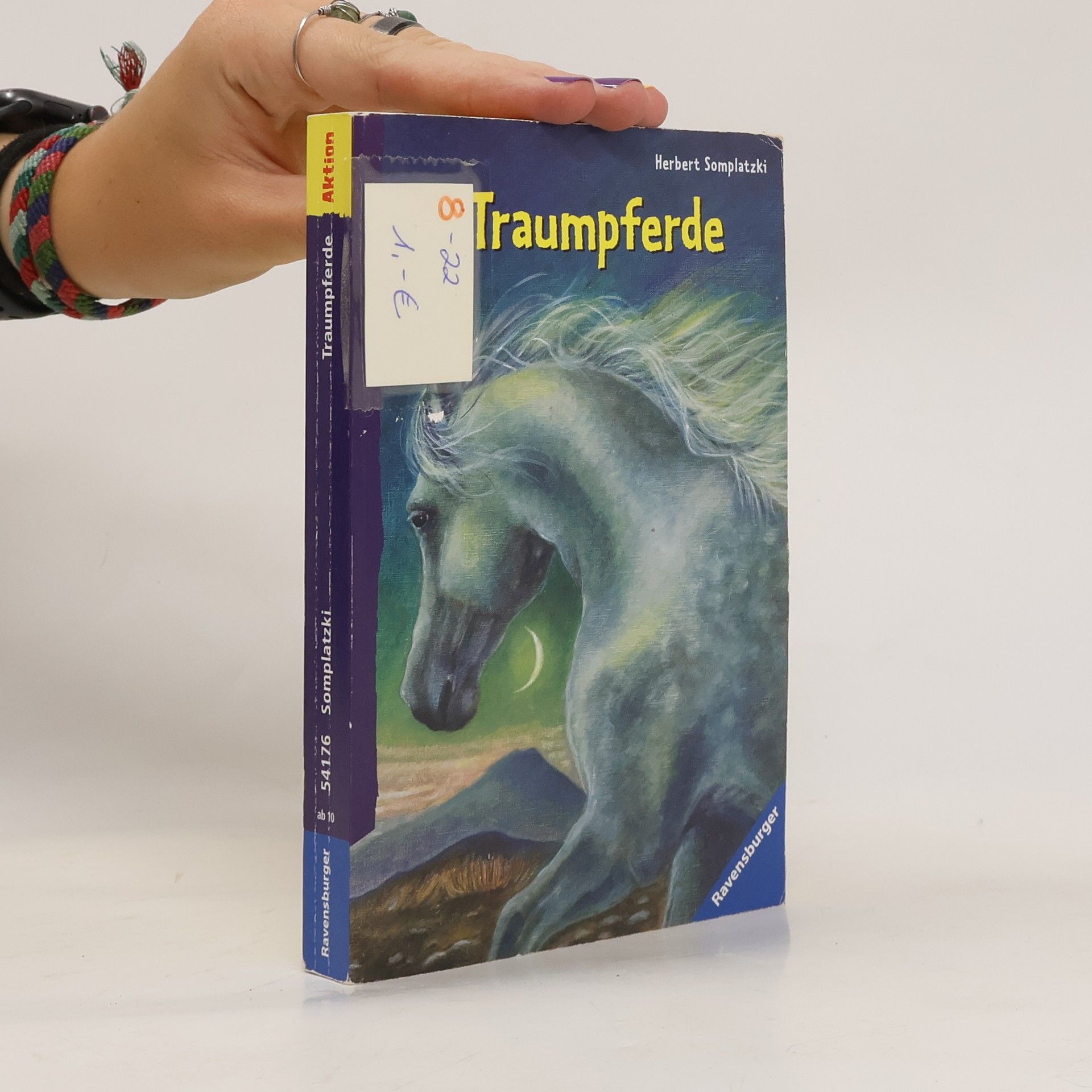 Herbert Somplatzki Traumpferde