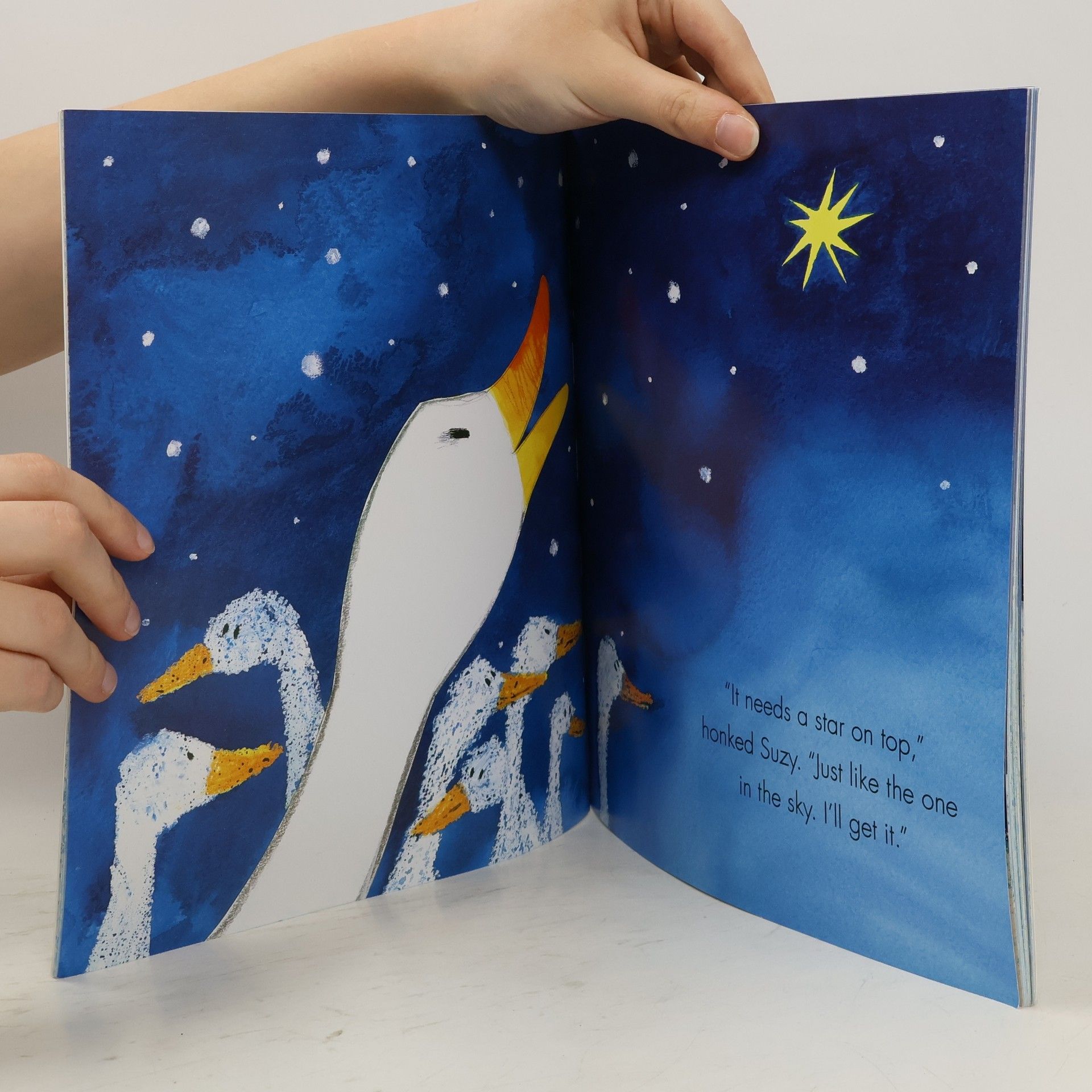 Horacek Petr Suzy Goose and the Christmas star
