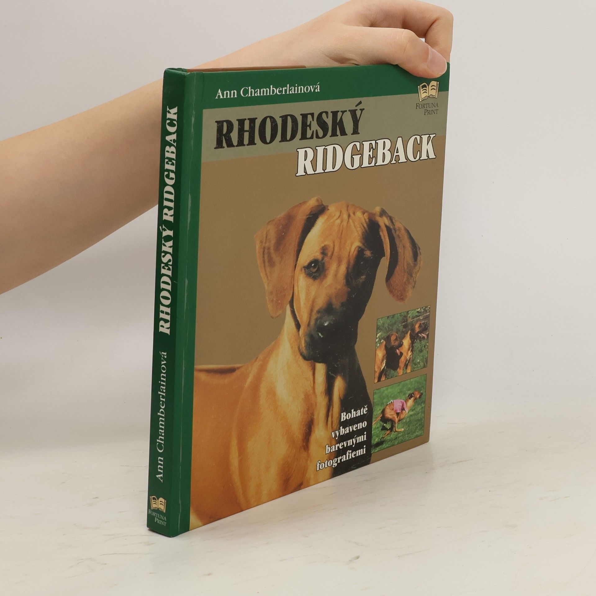 Ann Chamberlain Rhodeský ridgeback