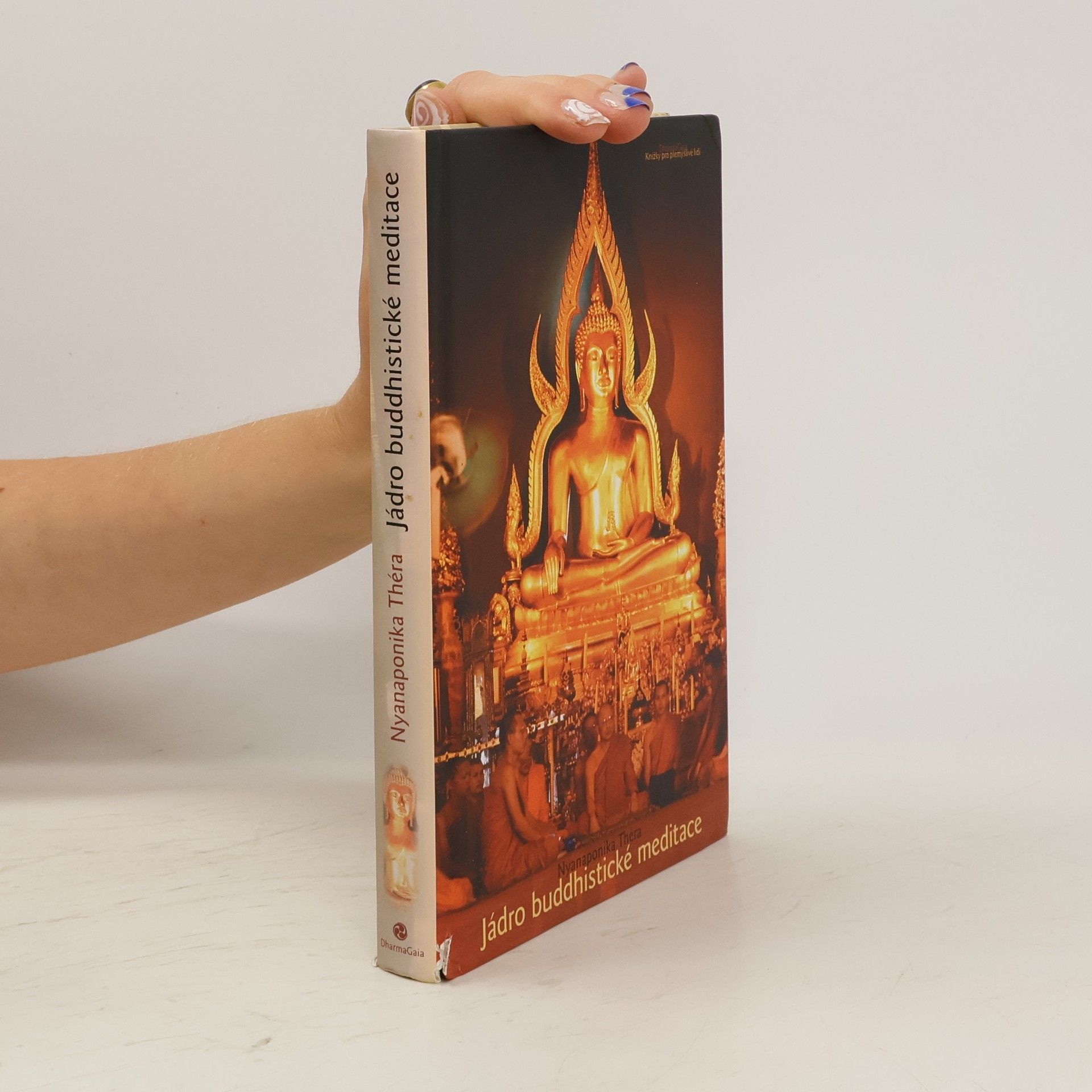 Karel Werner Jádro buddhistické meditace : Satipaṭṭhána : příručka pro výcvik mysli na základě Buddhovy cesty uvědomění