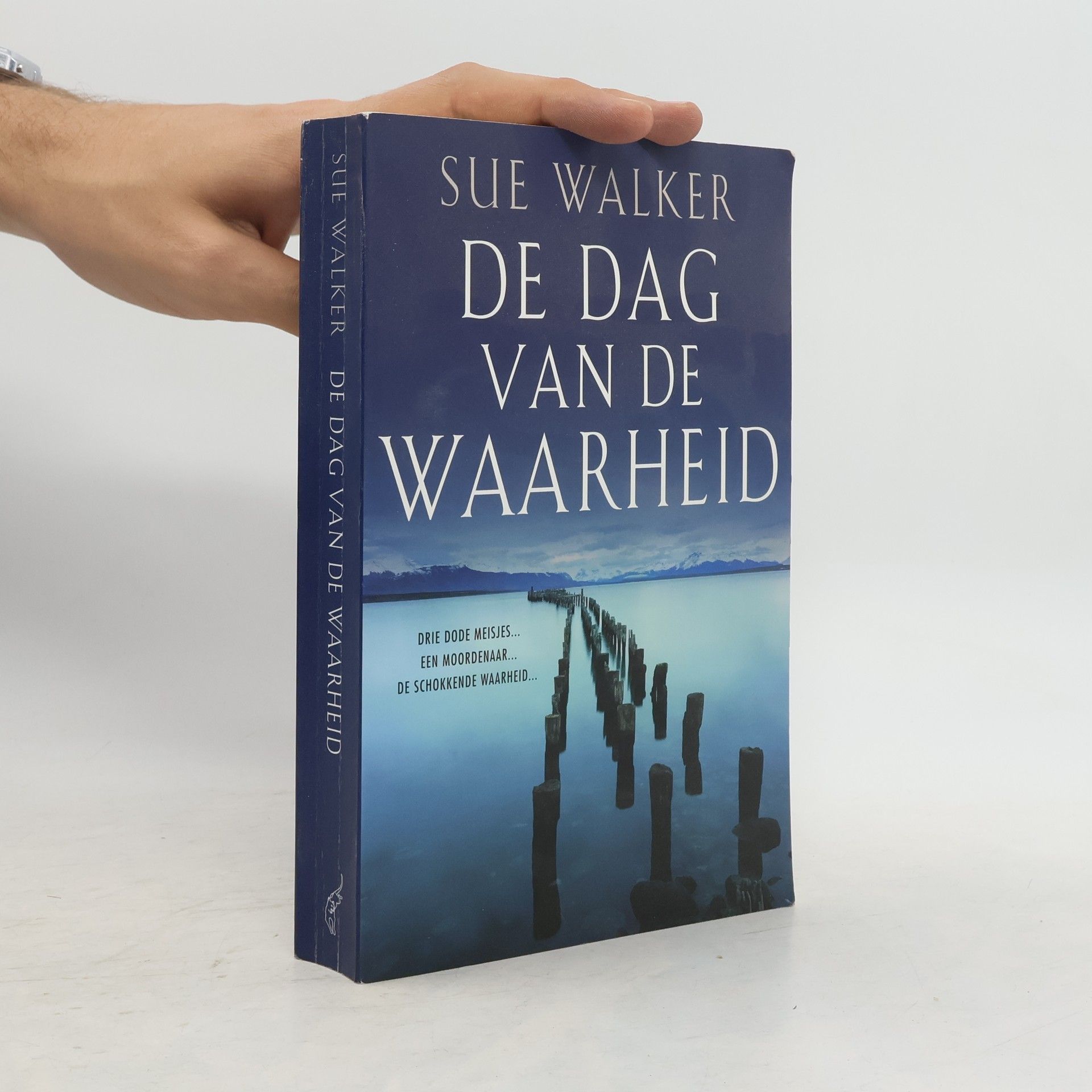 Sue Walker De dag van de waarheid