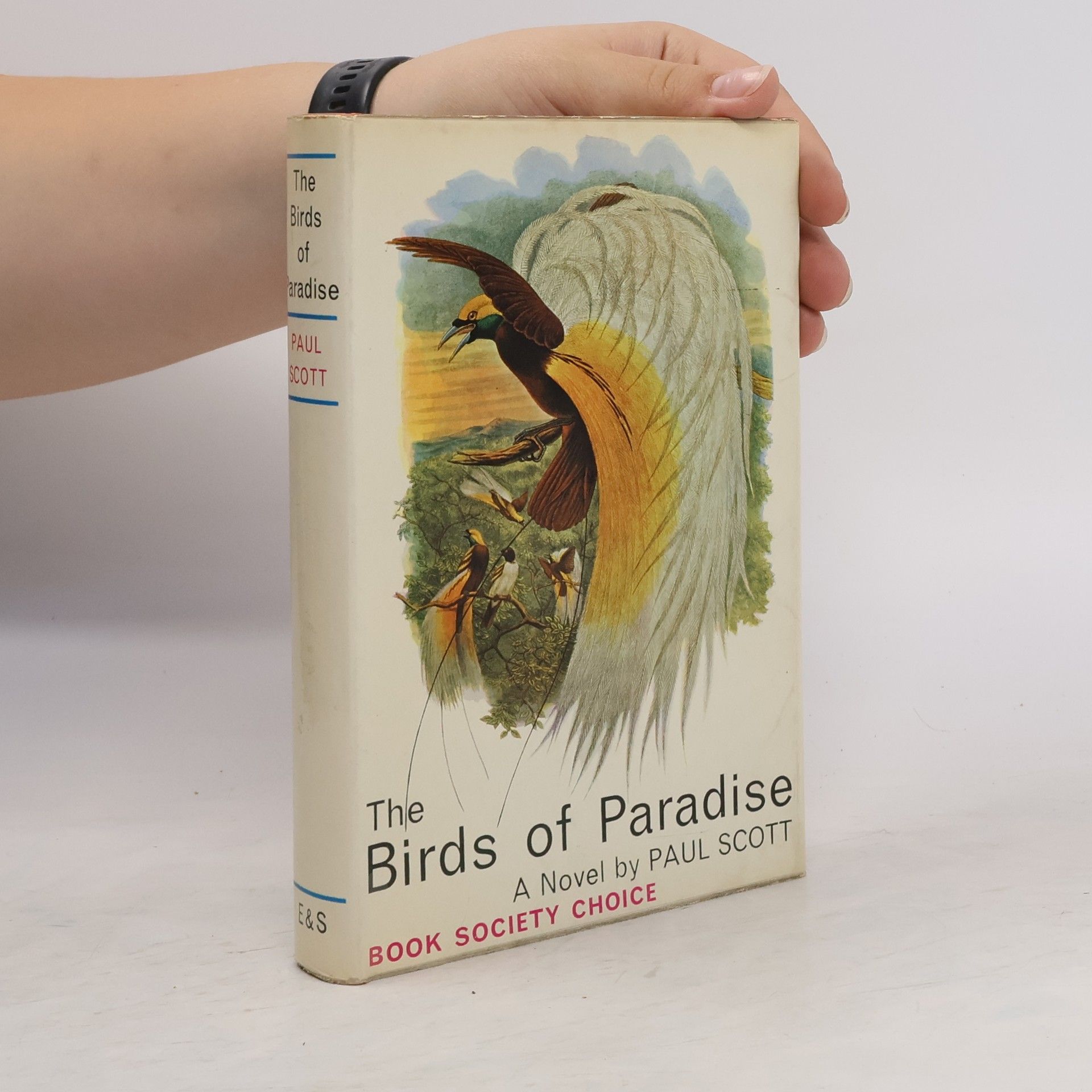 Paul Scott The Birds of Paradise