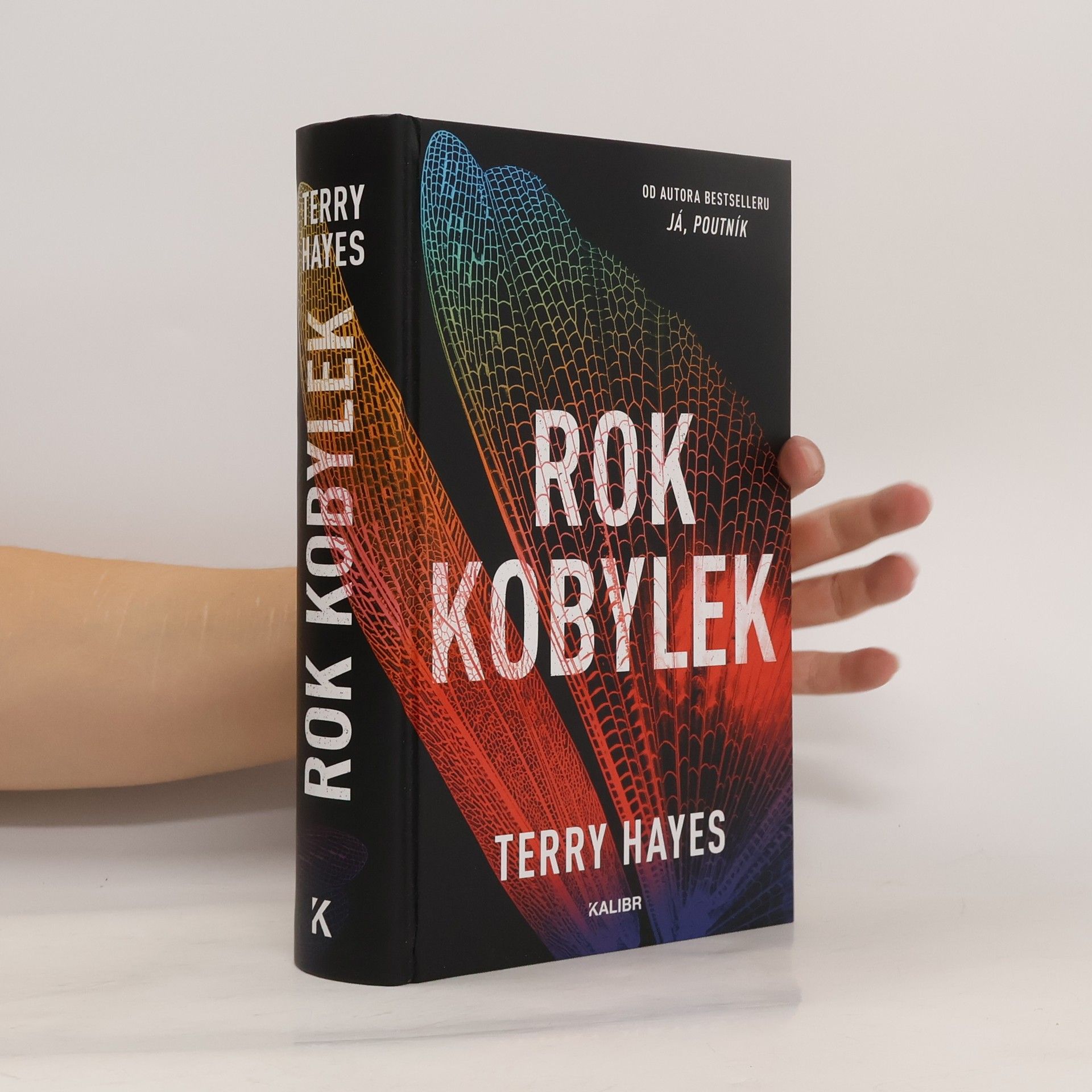 Terry Hayes Rok kobylek