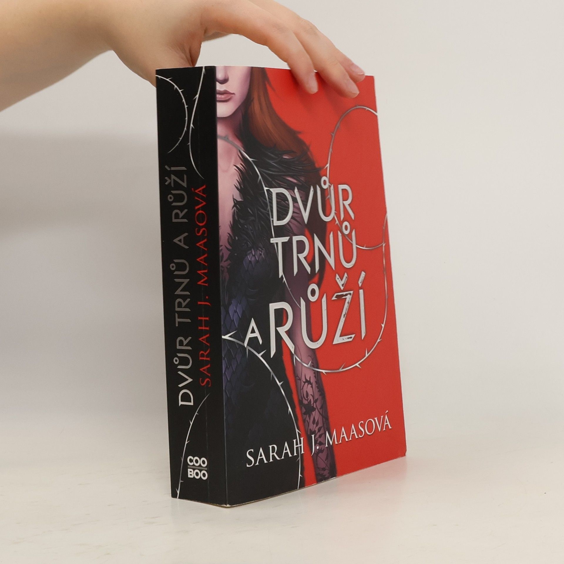 Sarah J. Maas Dvůr trnů a růží