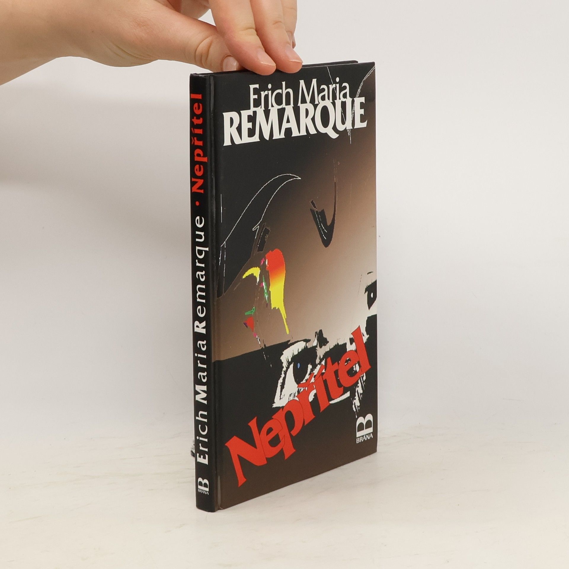 Erich Maria Remarque Nepřítel