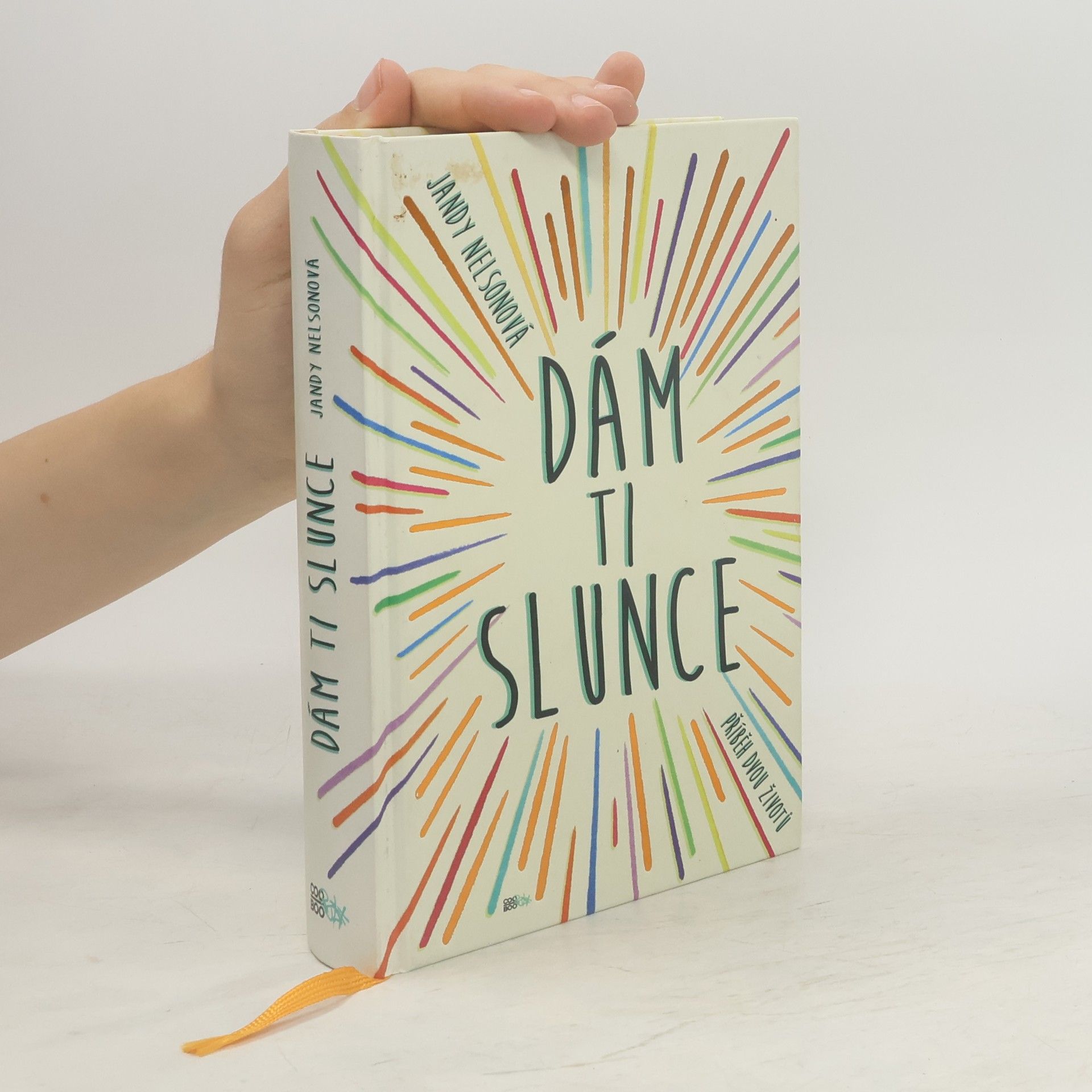 Jandy Nelson Dám ti slunce