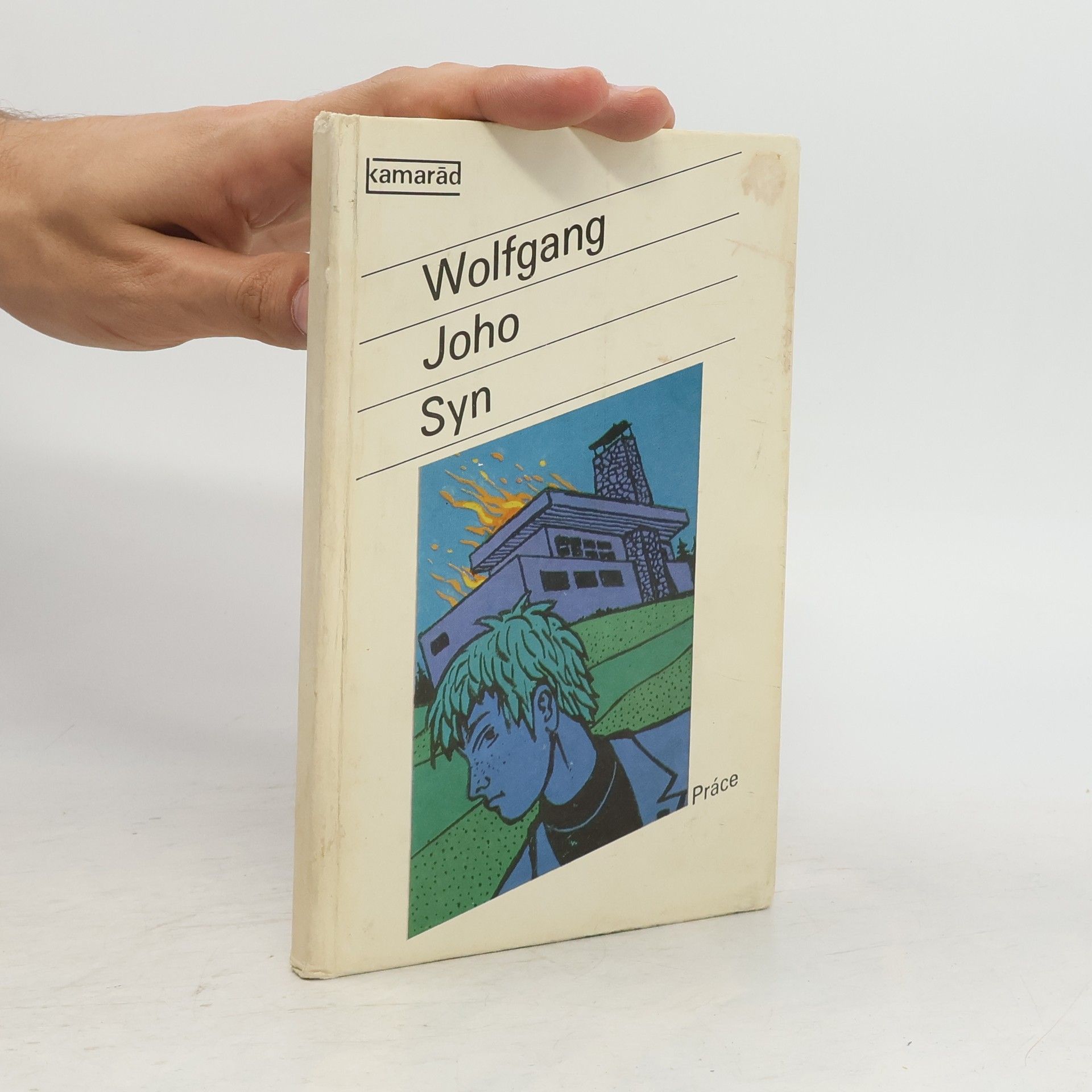 Wolfgang Joho Syn