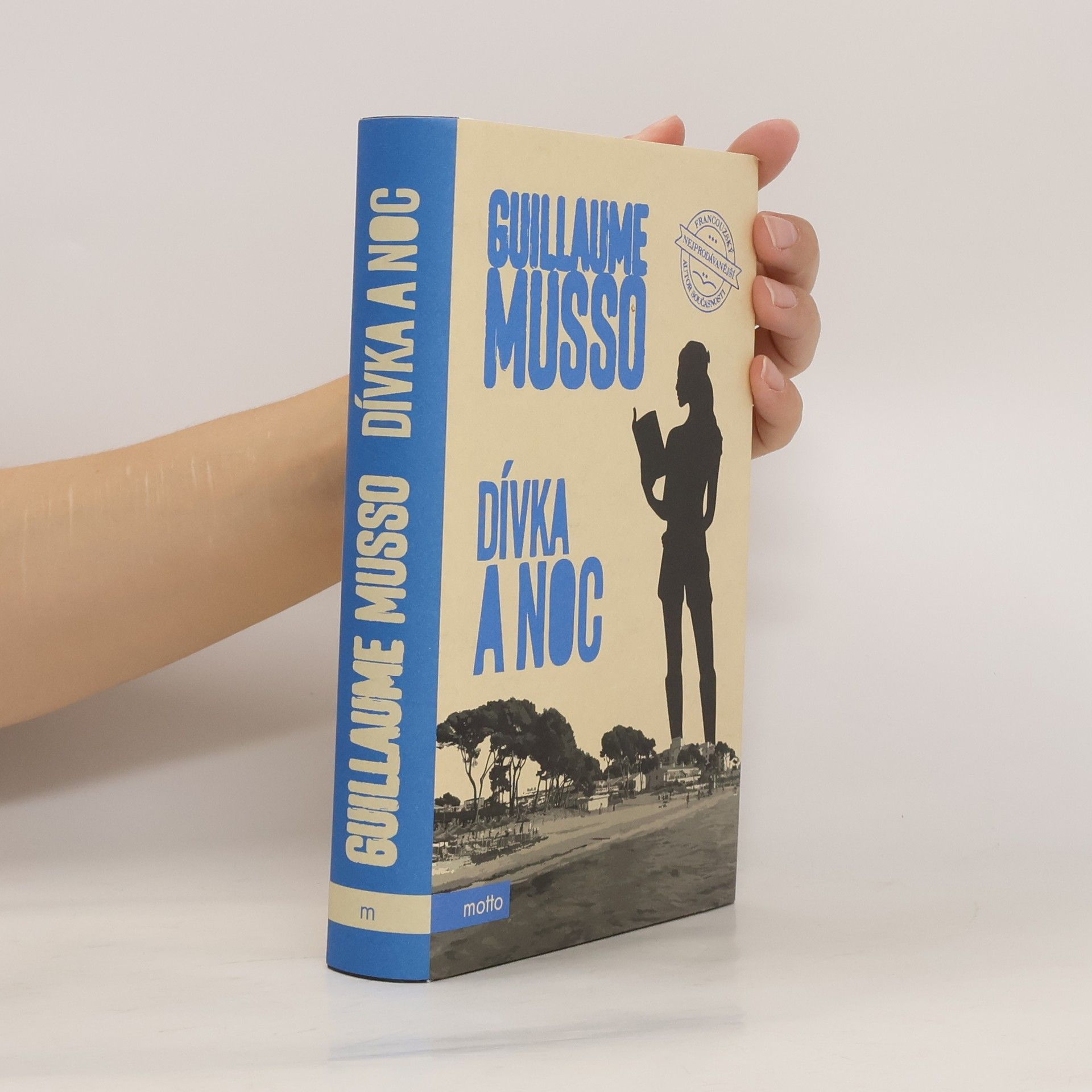 Guillaume Musso Dívka a noc