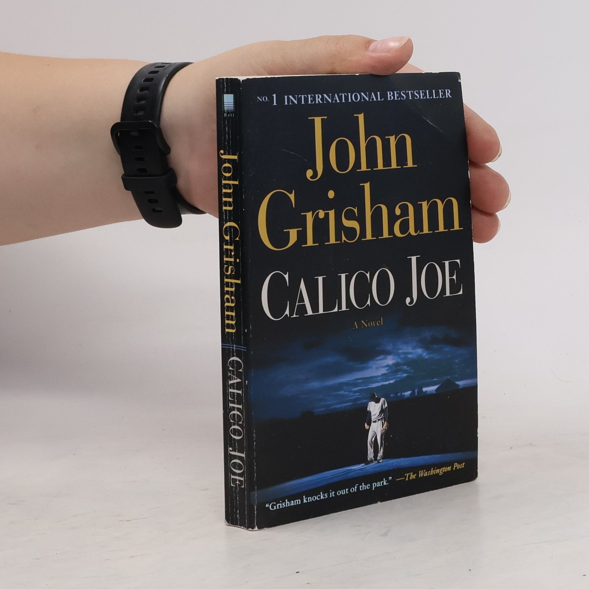 John Grisham Calico Joe. Home Run, englische Ausgabe