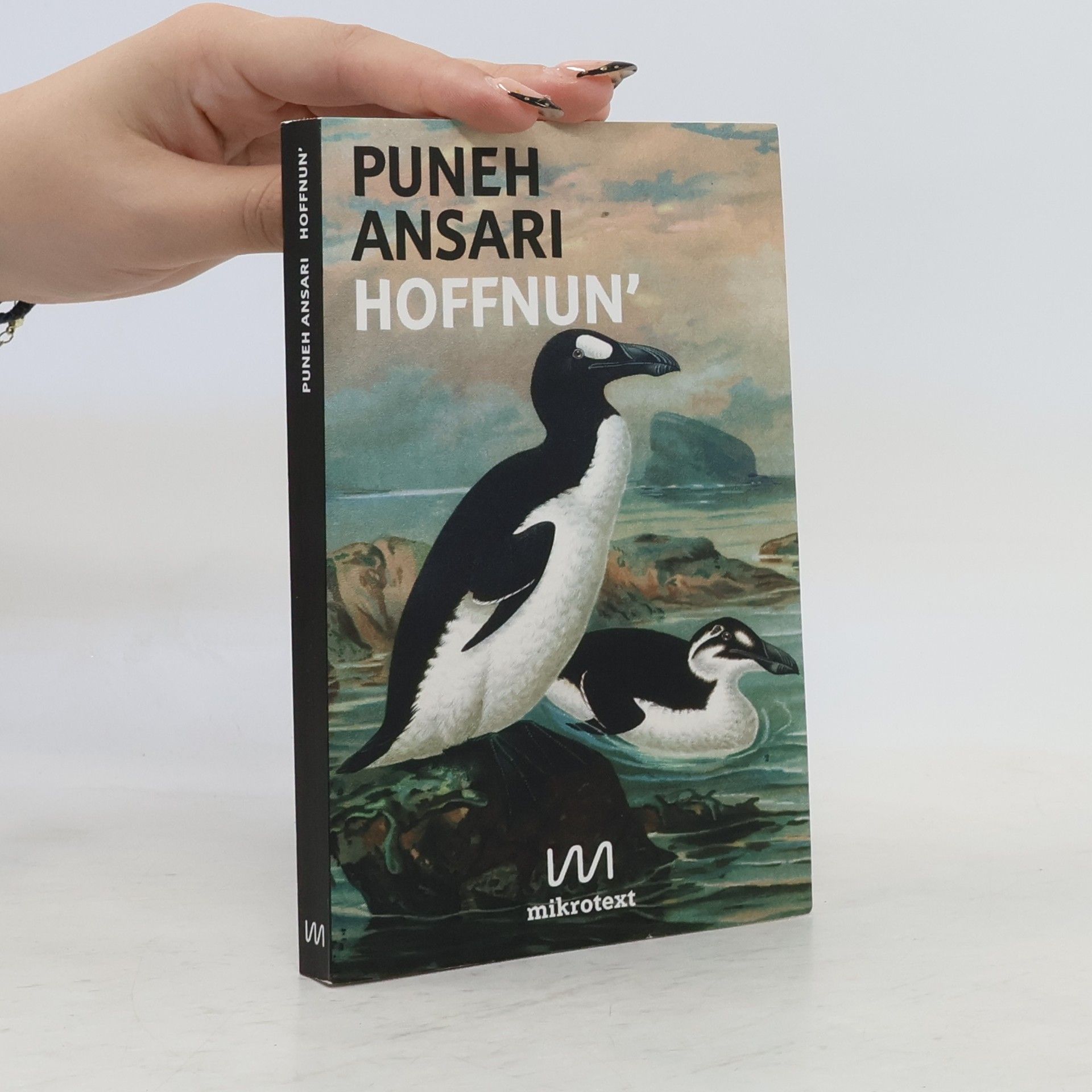 Puneh Ansari Hoffnun'