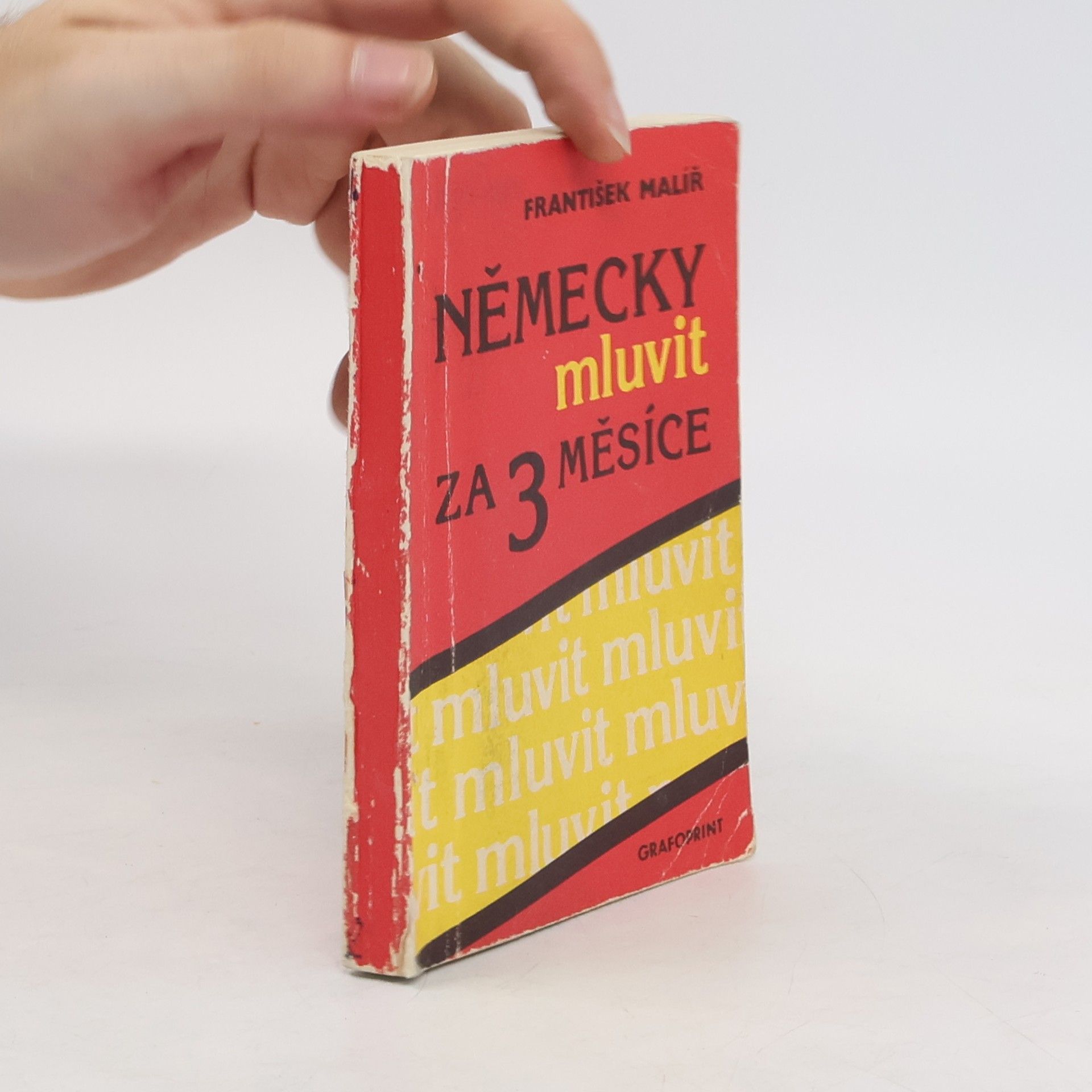 František Malíř Německy mluvit za 3 měsíce
