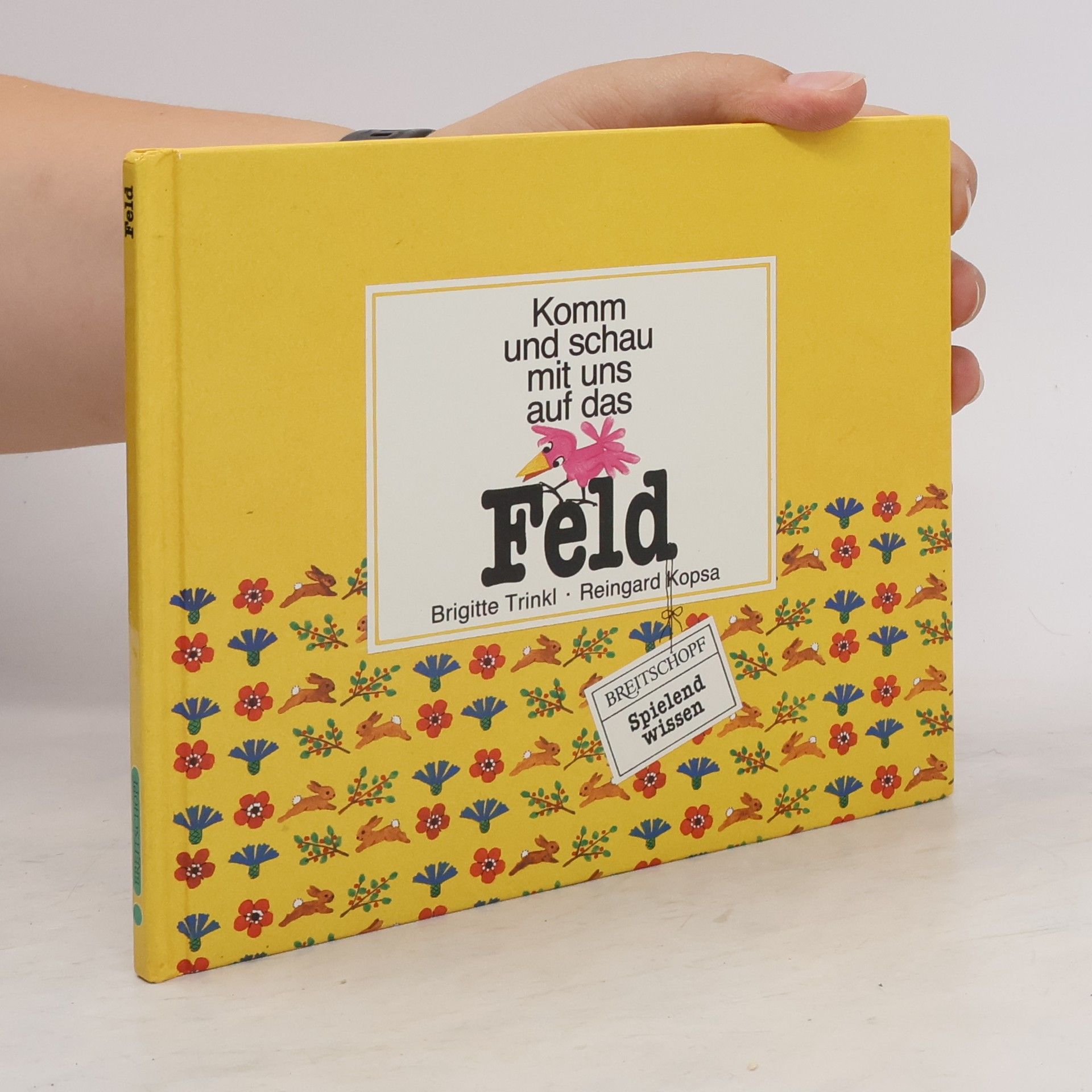 Hilde Forster Teddy, der Tolpatsch