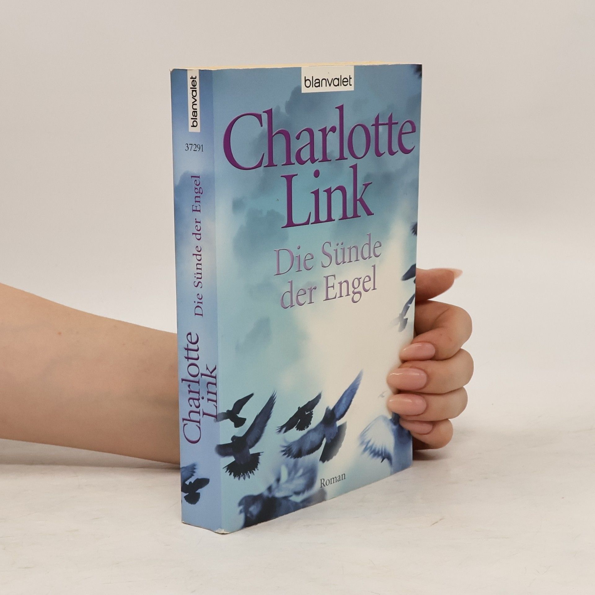 Charlotte Link Die Sünde der Engel