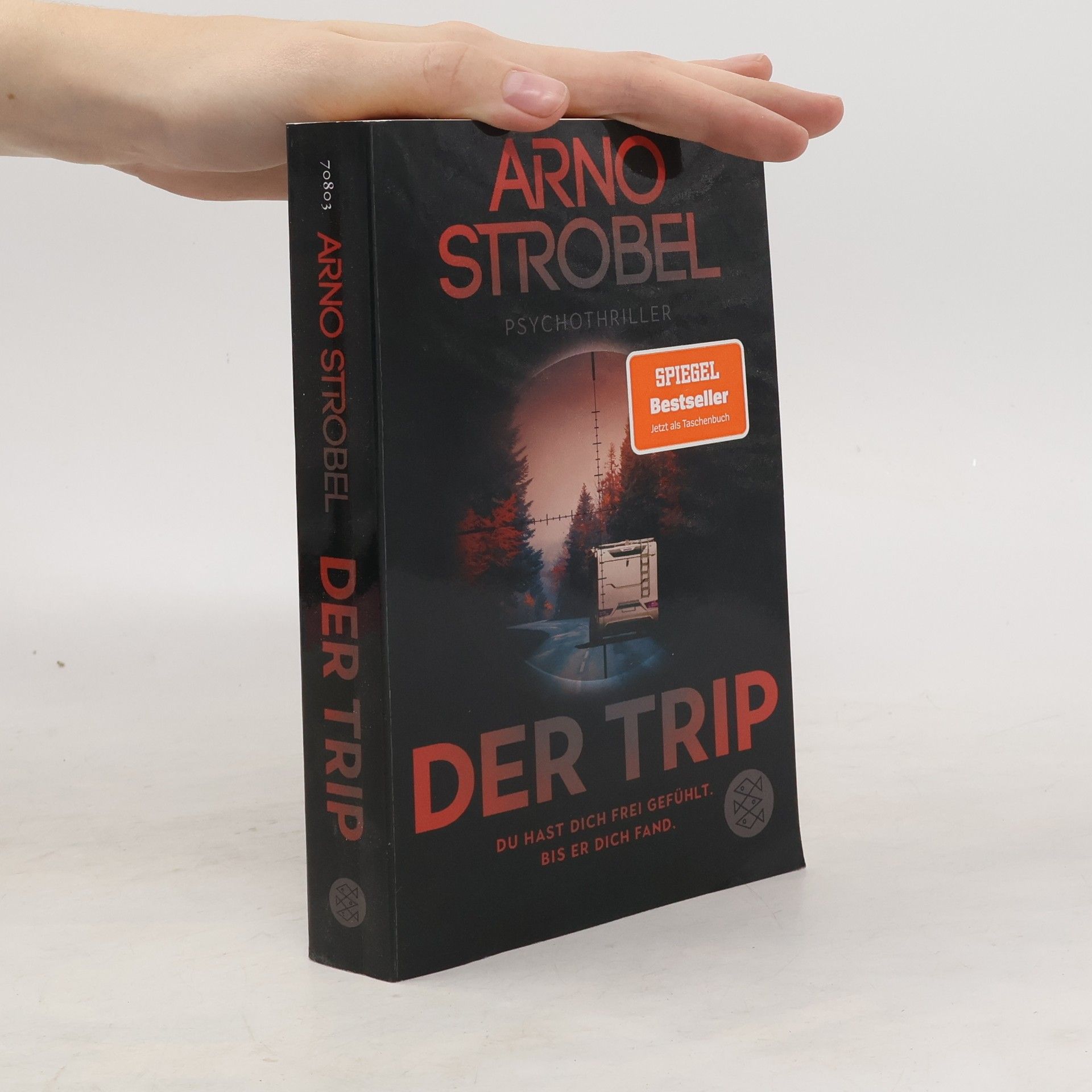 Arno Strobel Der Trip
