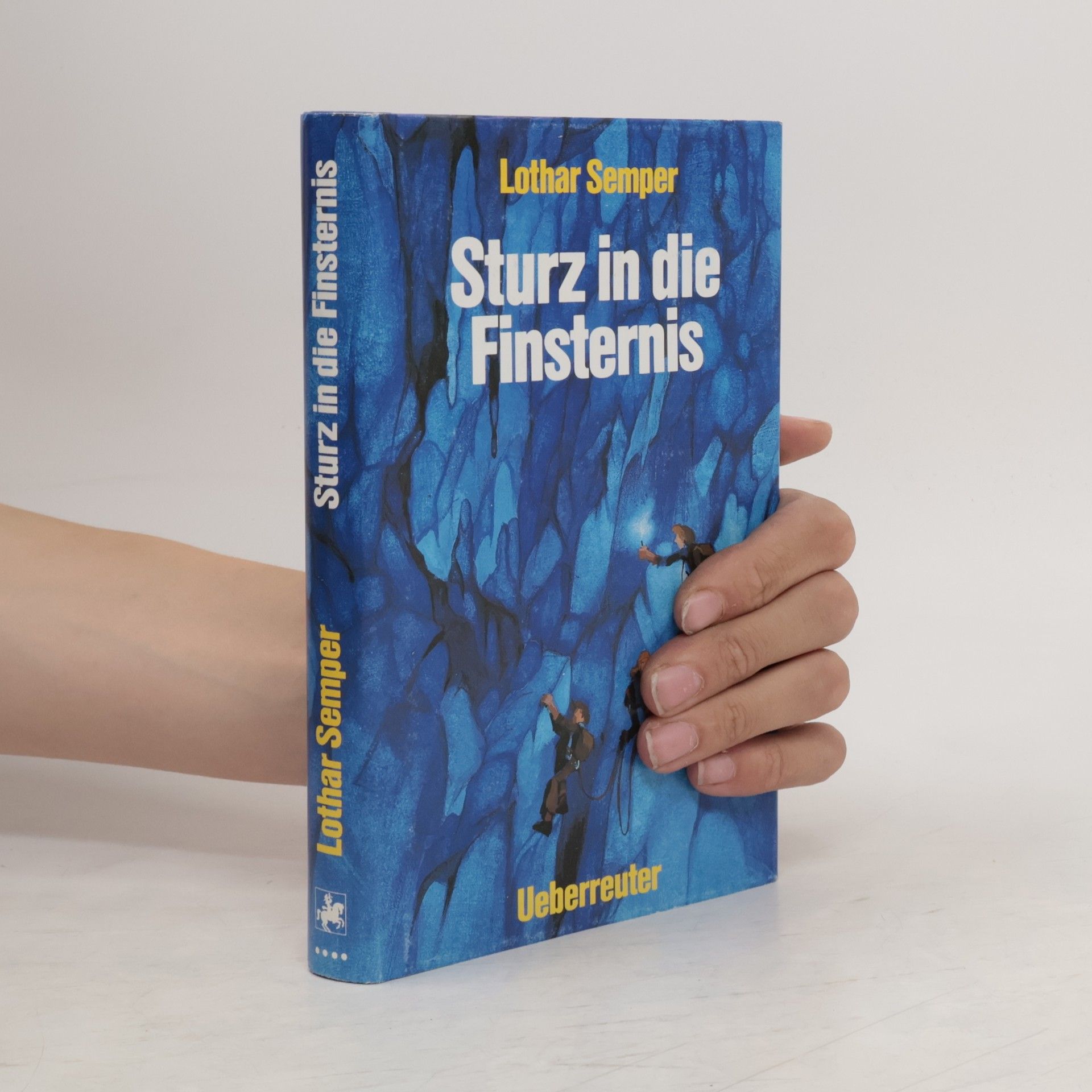 Lothar Semper Sturz in die Finsternis