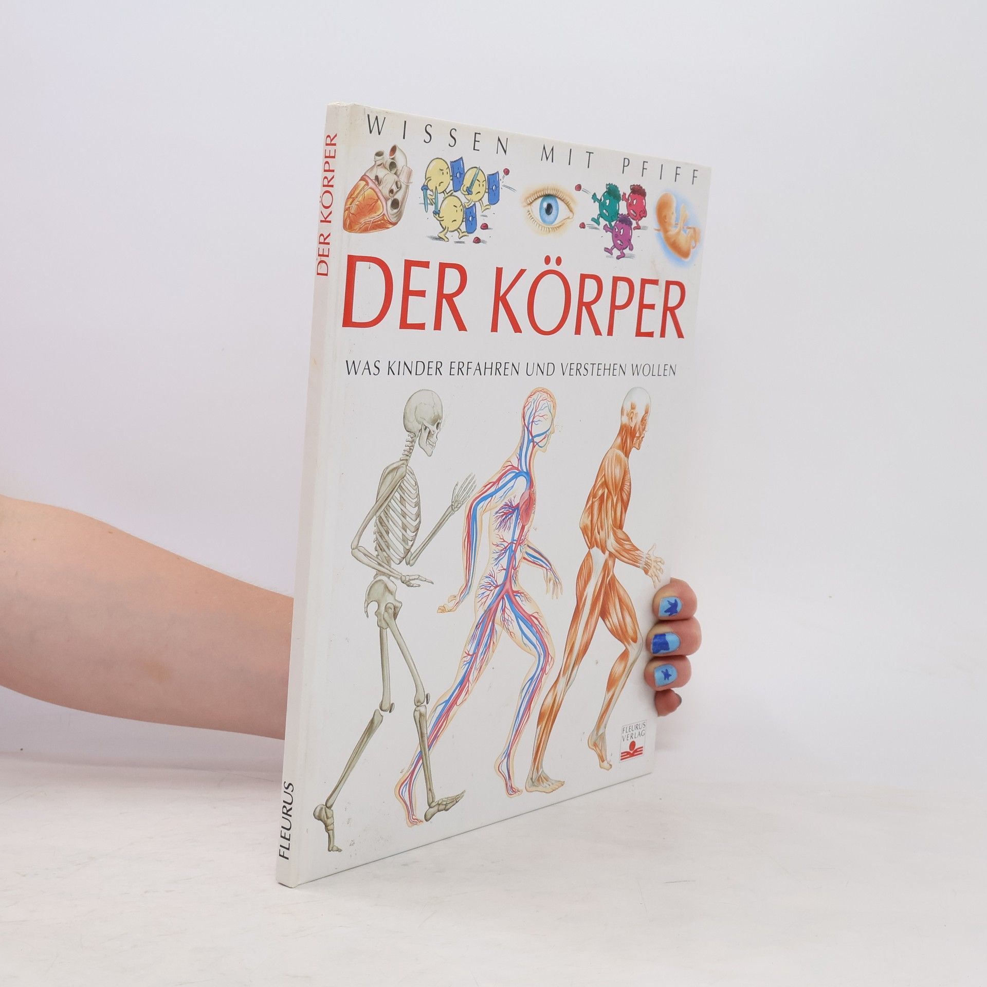 Autorenkollektiv Der Körper: Was Kinder erfahren und verstehen wollen