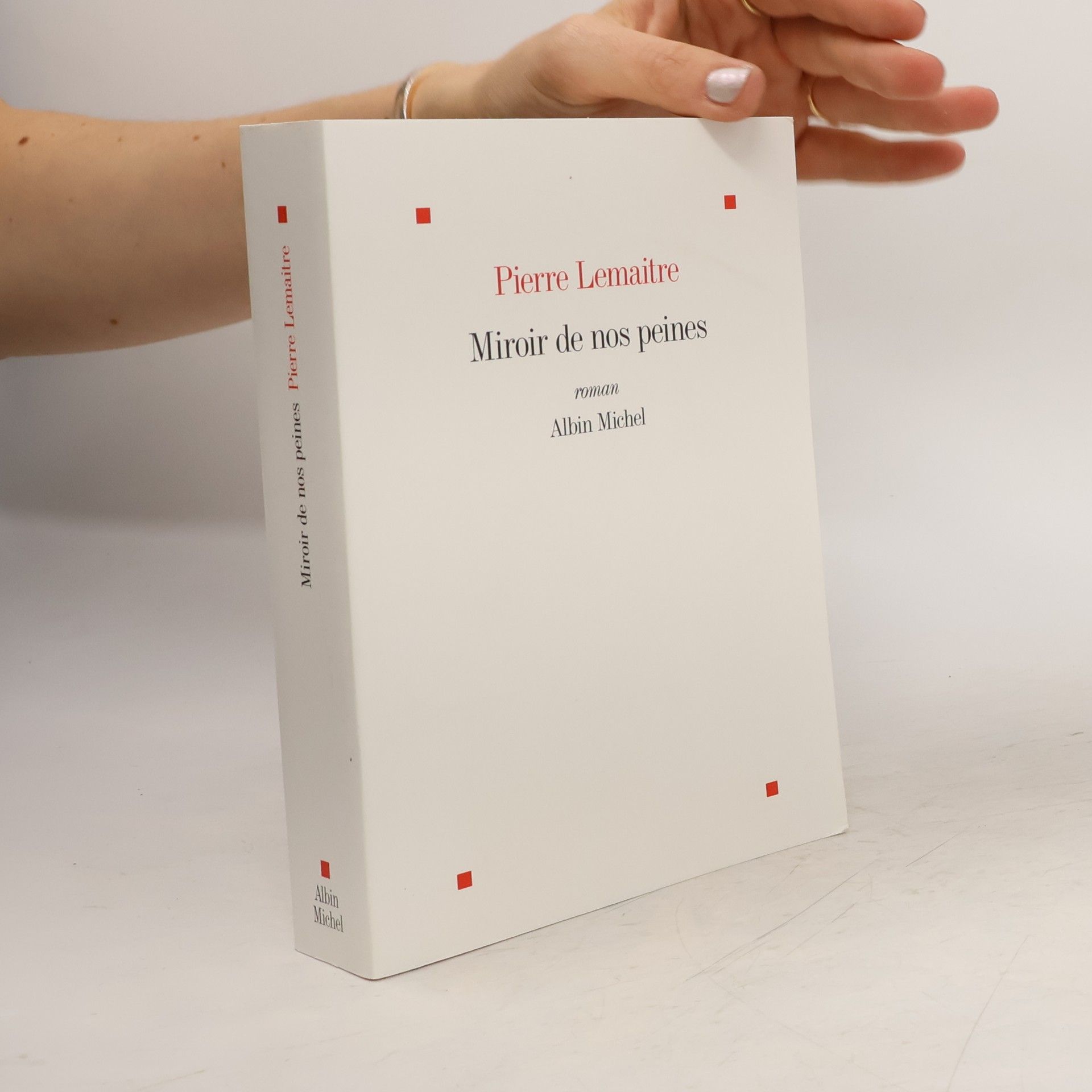 Pierre Lemaitre Miroir de nos peines