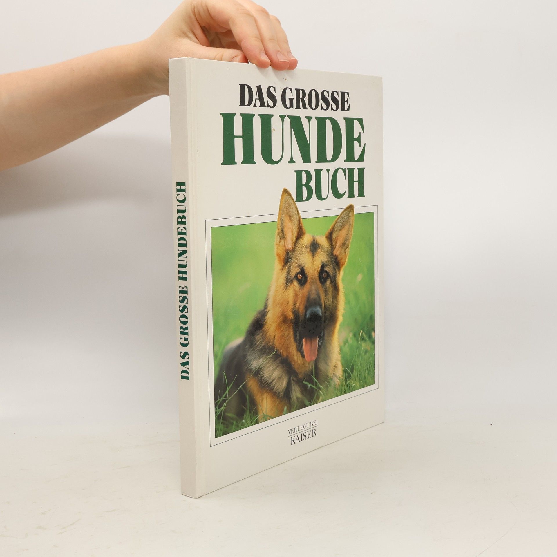 Autorenkollektiv Das Grosse Hunde Buch