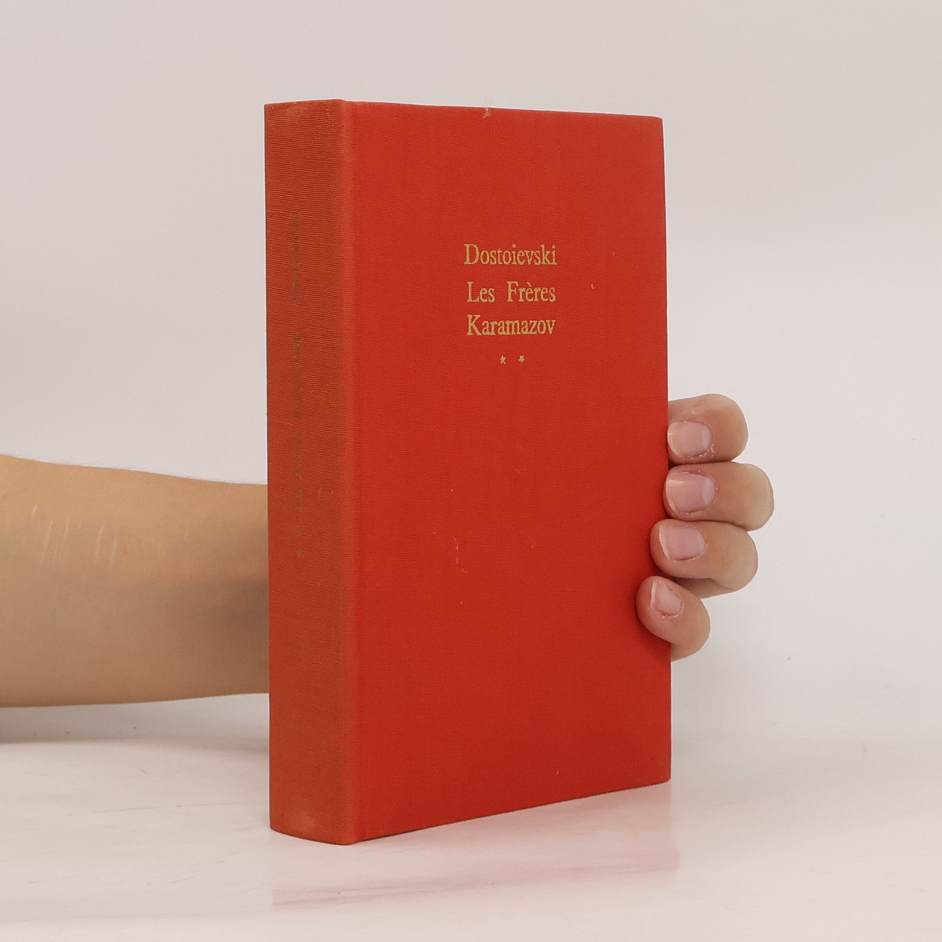 Fjodor Michajlovič Dostojevskij Les frères Karamazov II
