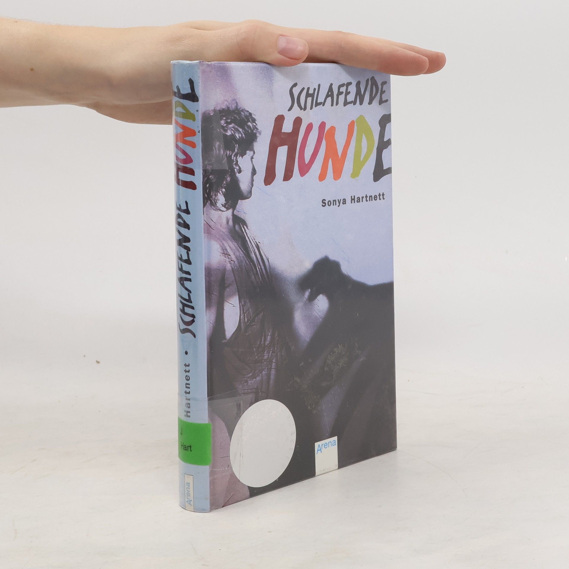 Sonya Hartnett Schlafende Hunde