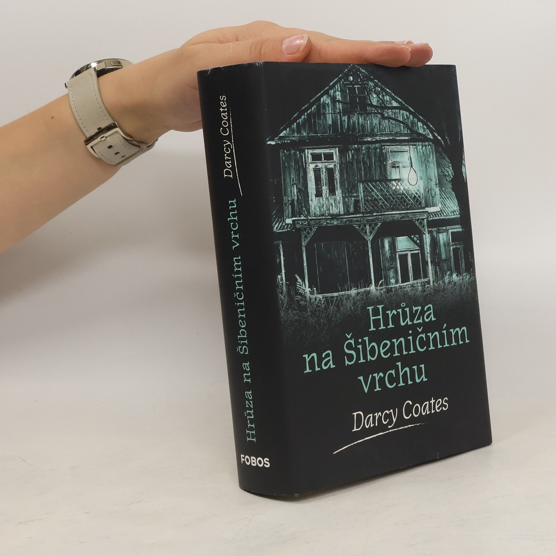 Darcy Coates Hrůza na Šibeničním vrchu