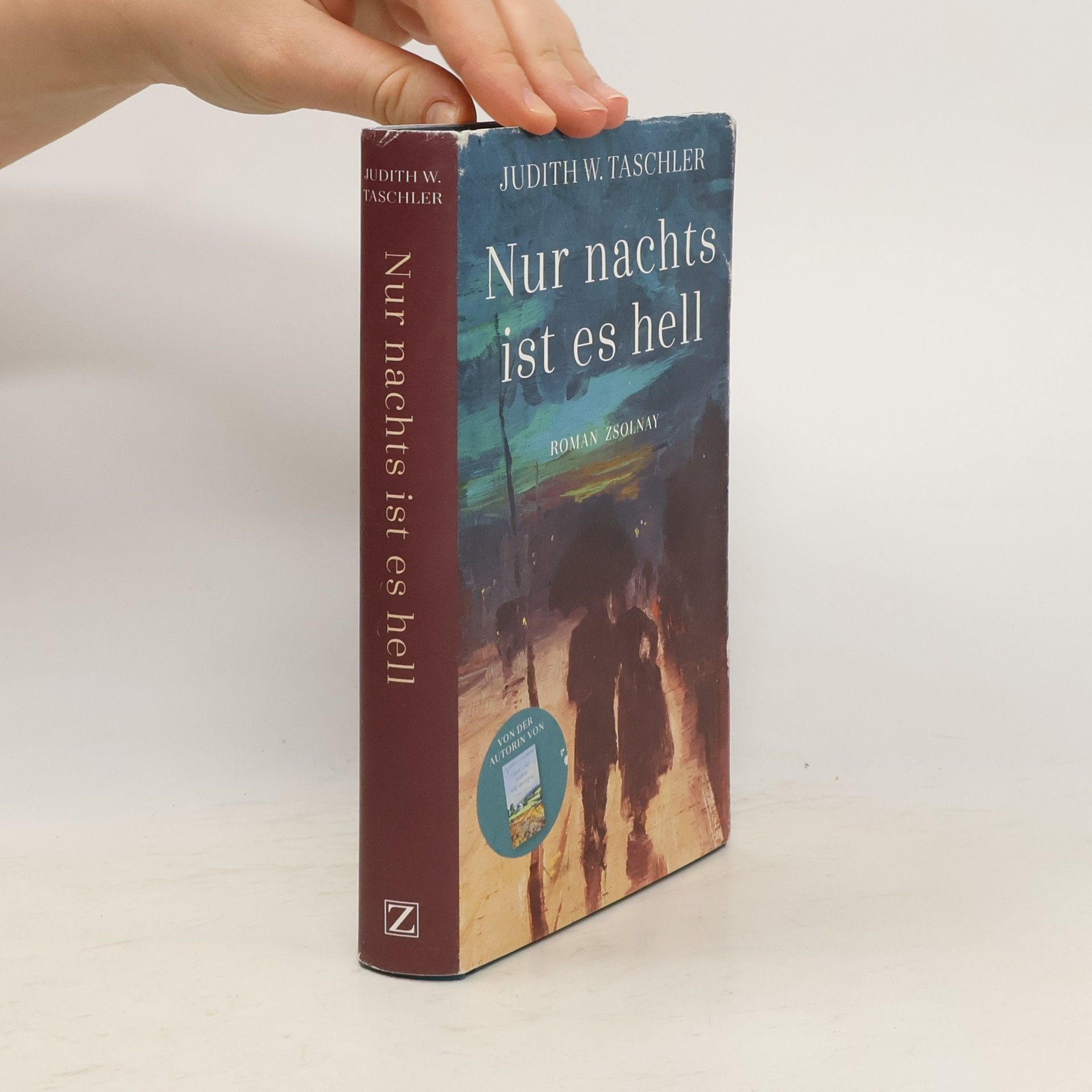 Judith W Taschler Nur nachts ist es hell