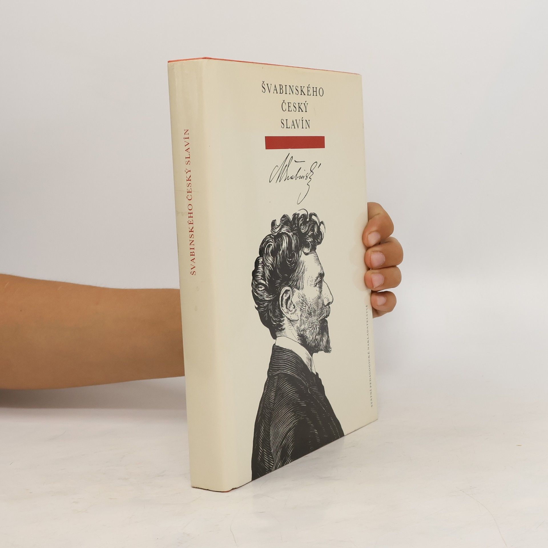 Max Švabinský Švabinského český Slavín