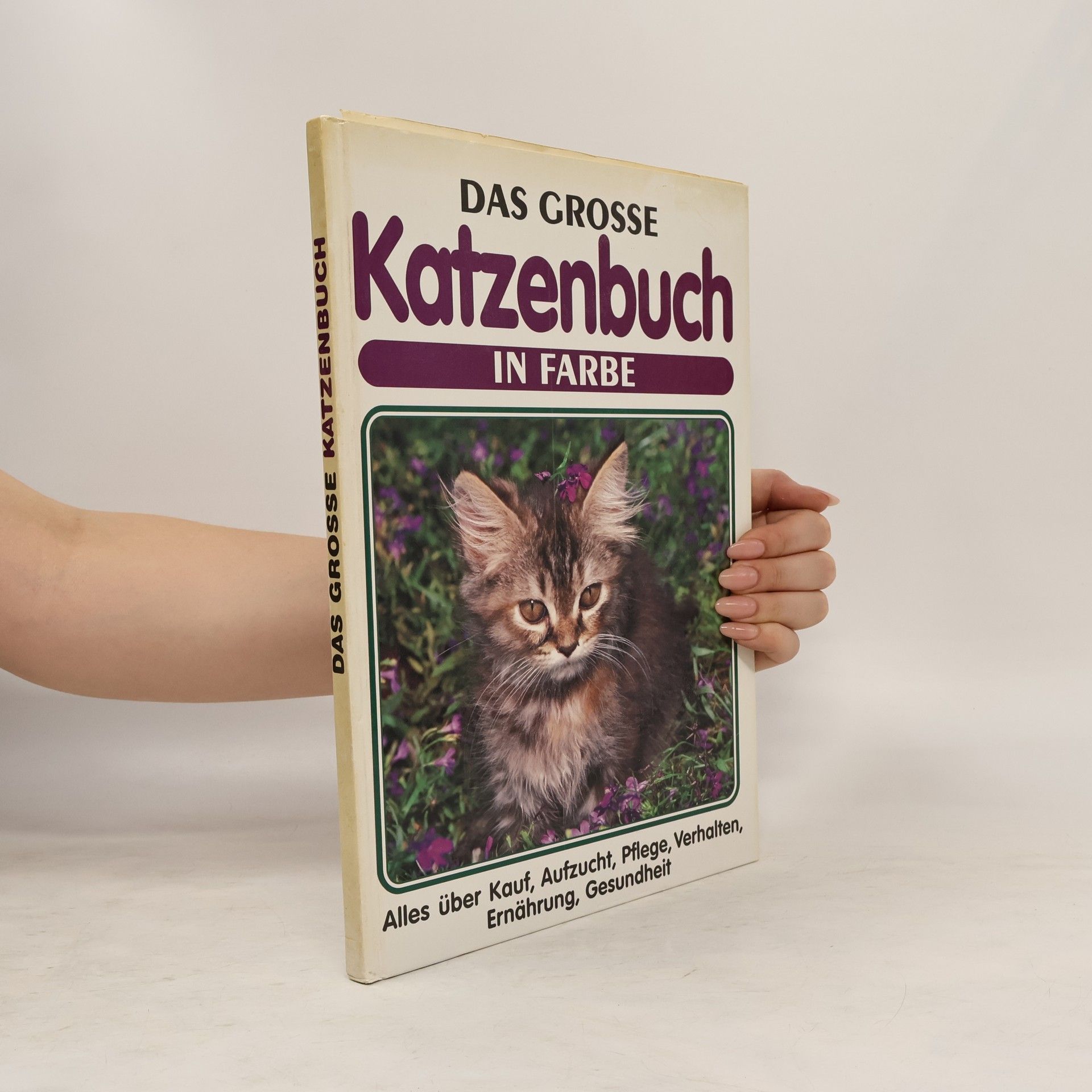 Heinz Sponsel Das grosse Katzenbuch in Farbe