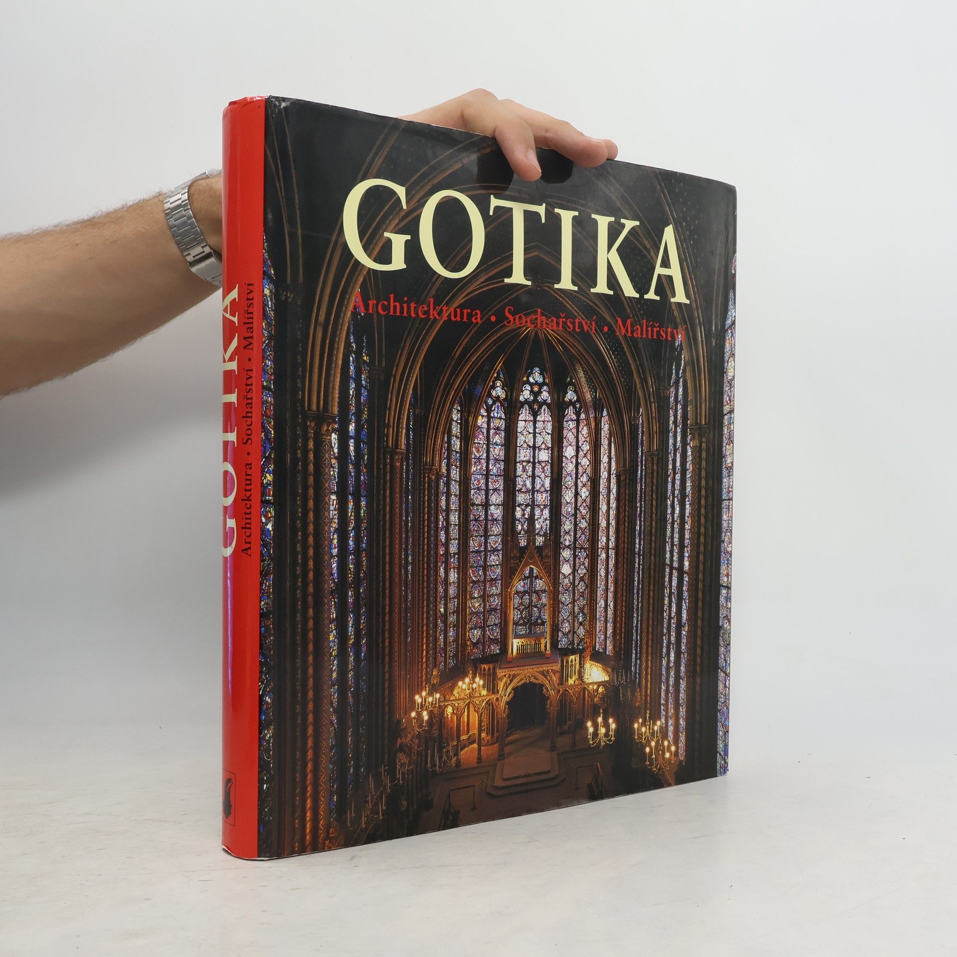 Achim Bednorz Gotika. Architektura, sochařství, malířství