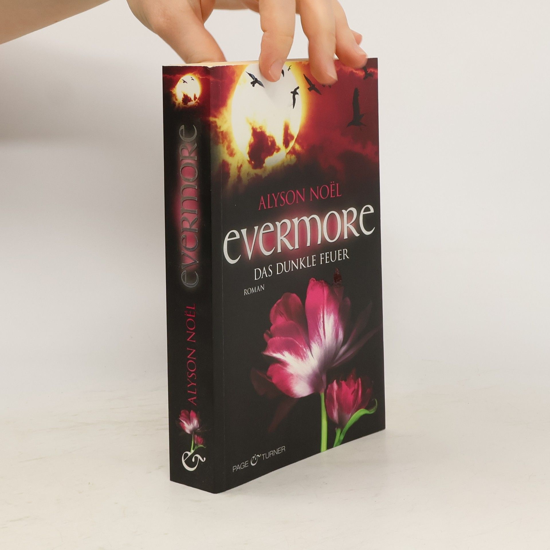 Alyson Noë͏l Evermore: Das dunkle Feuer
