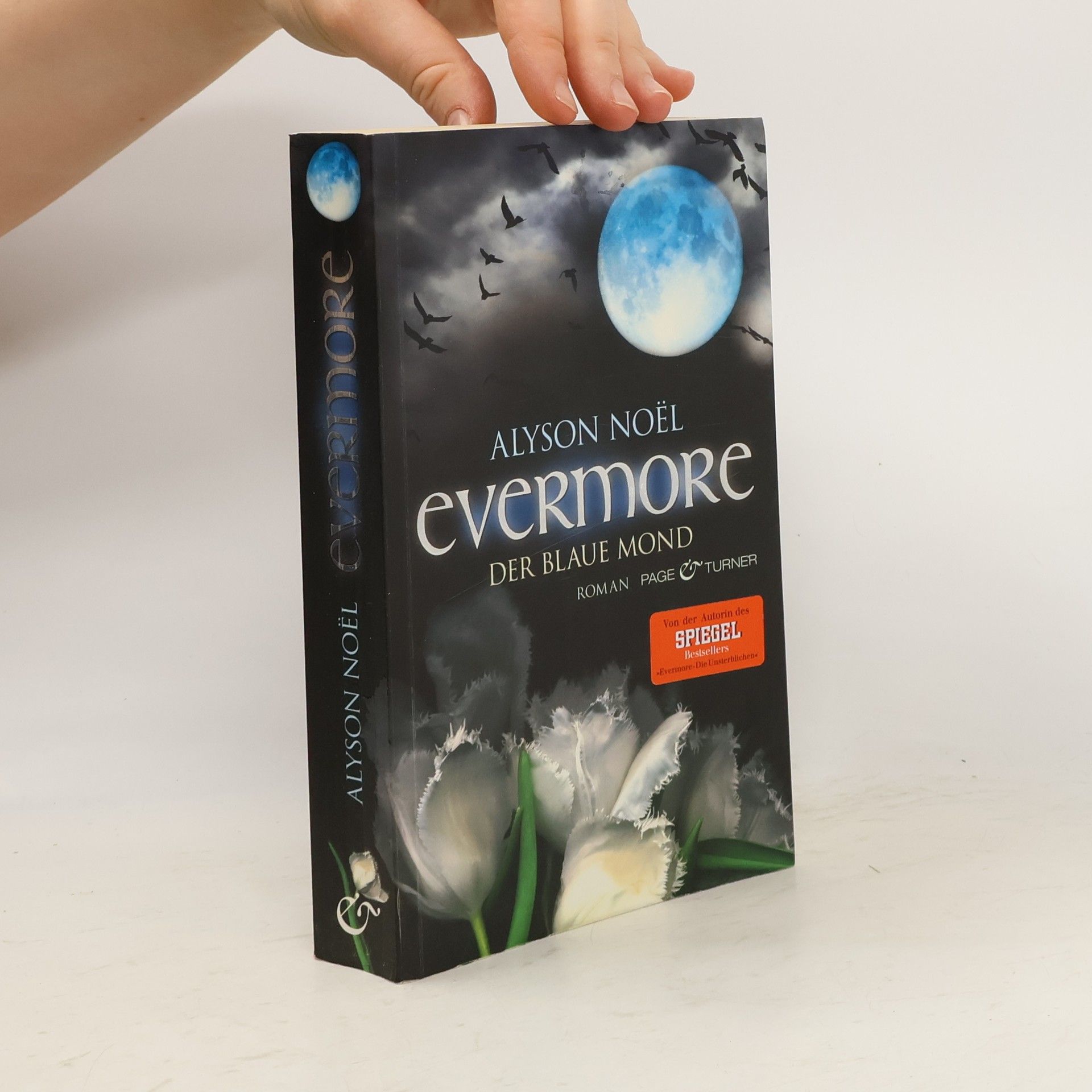 Alyson Noë͏l Evermore: Der blaue Mond