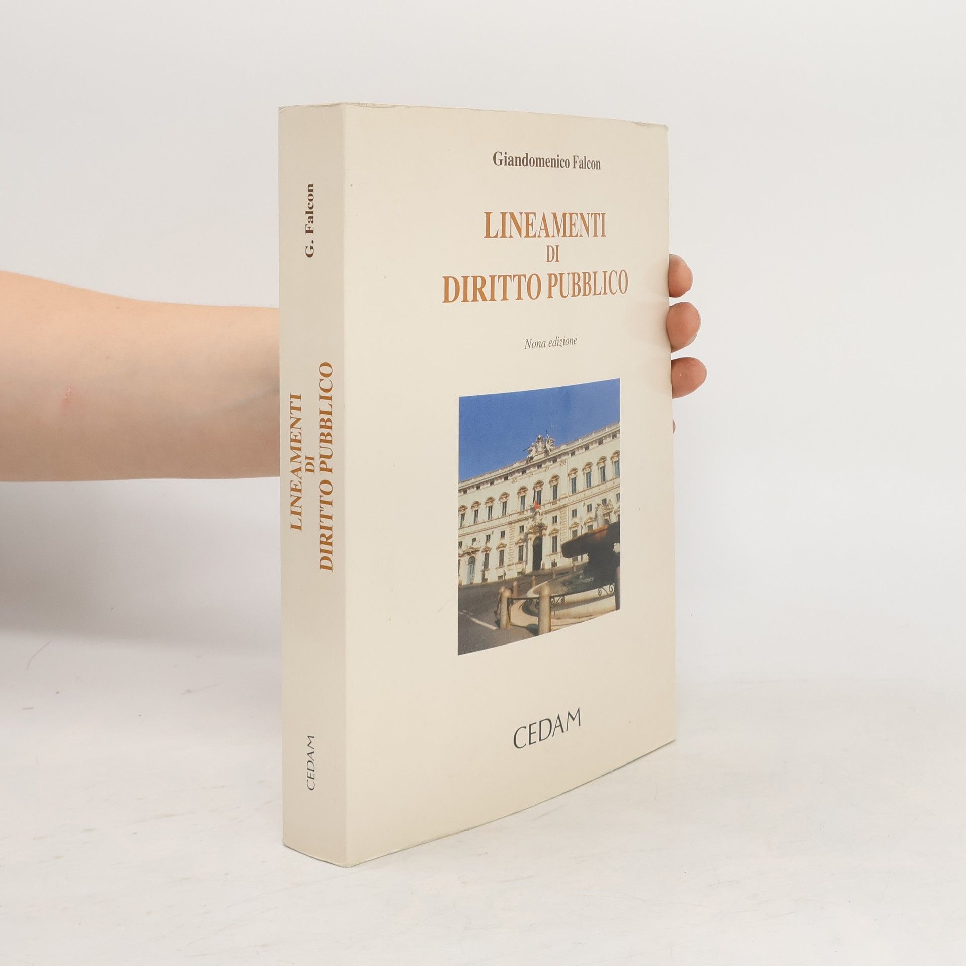 Giandomenico Falcon Lineamenti di diritto pubblico