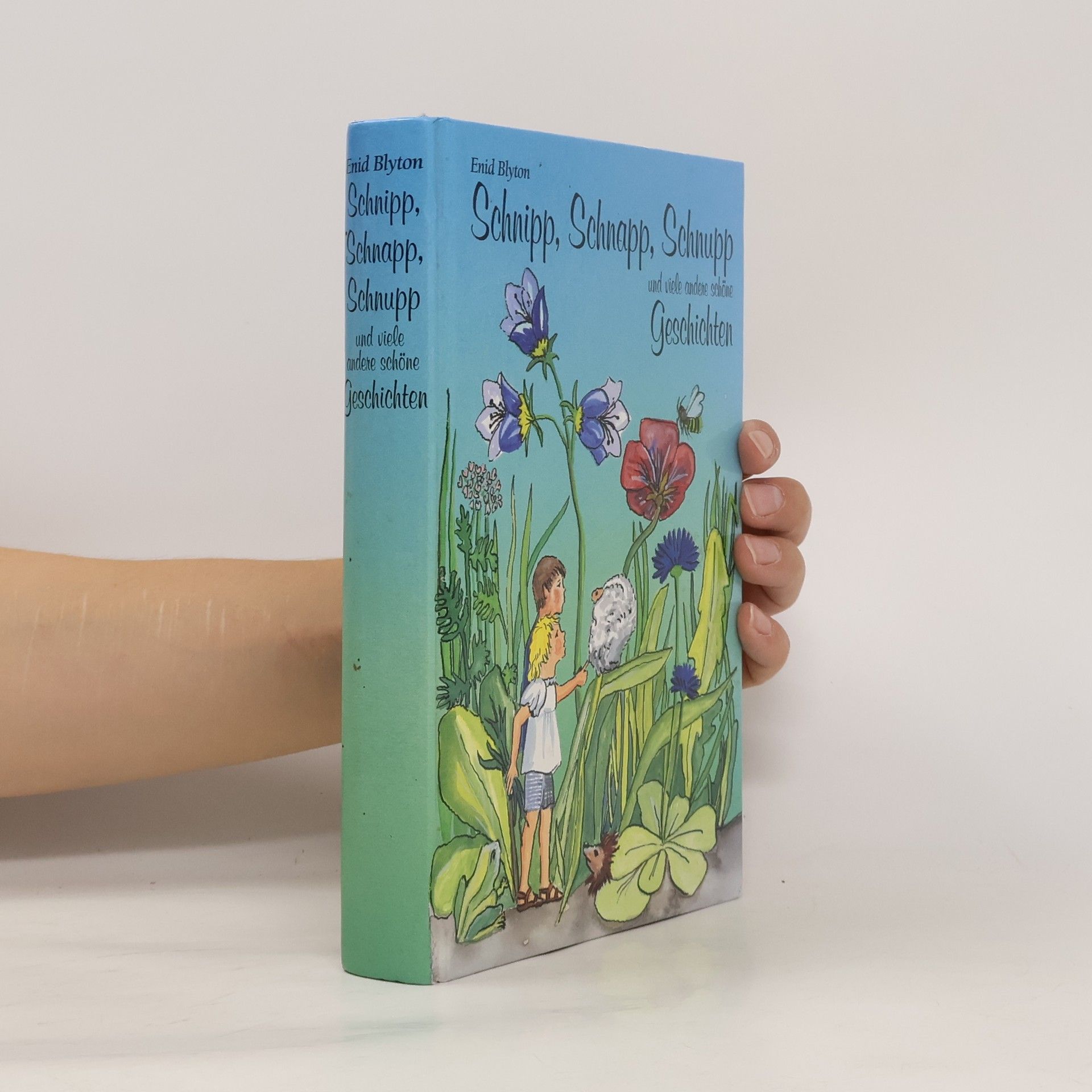 Enid Blyton Schnipp, Schnapp, Schnupp und viele andere schöne Geschichten