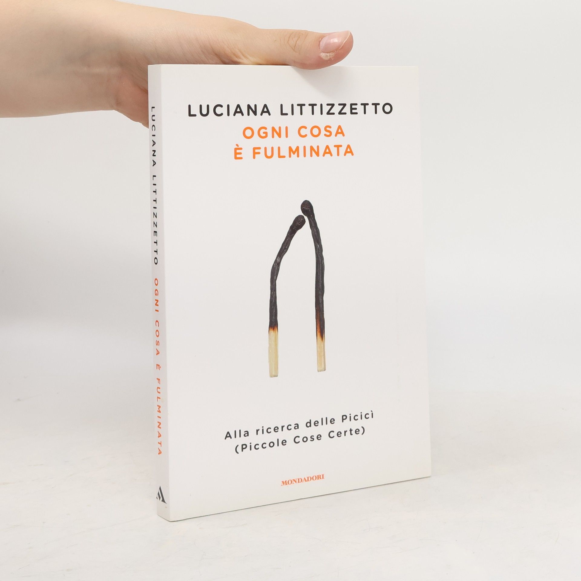 Luciana Littizzetto Ogni cosa è fulminata